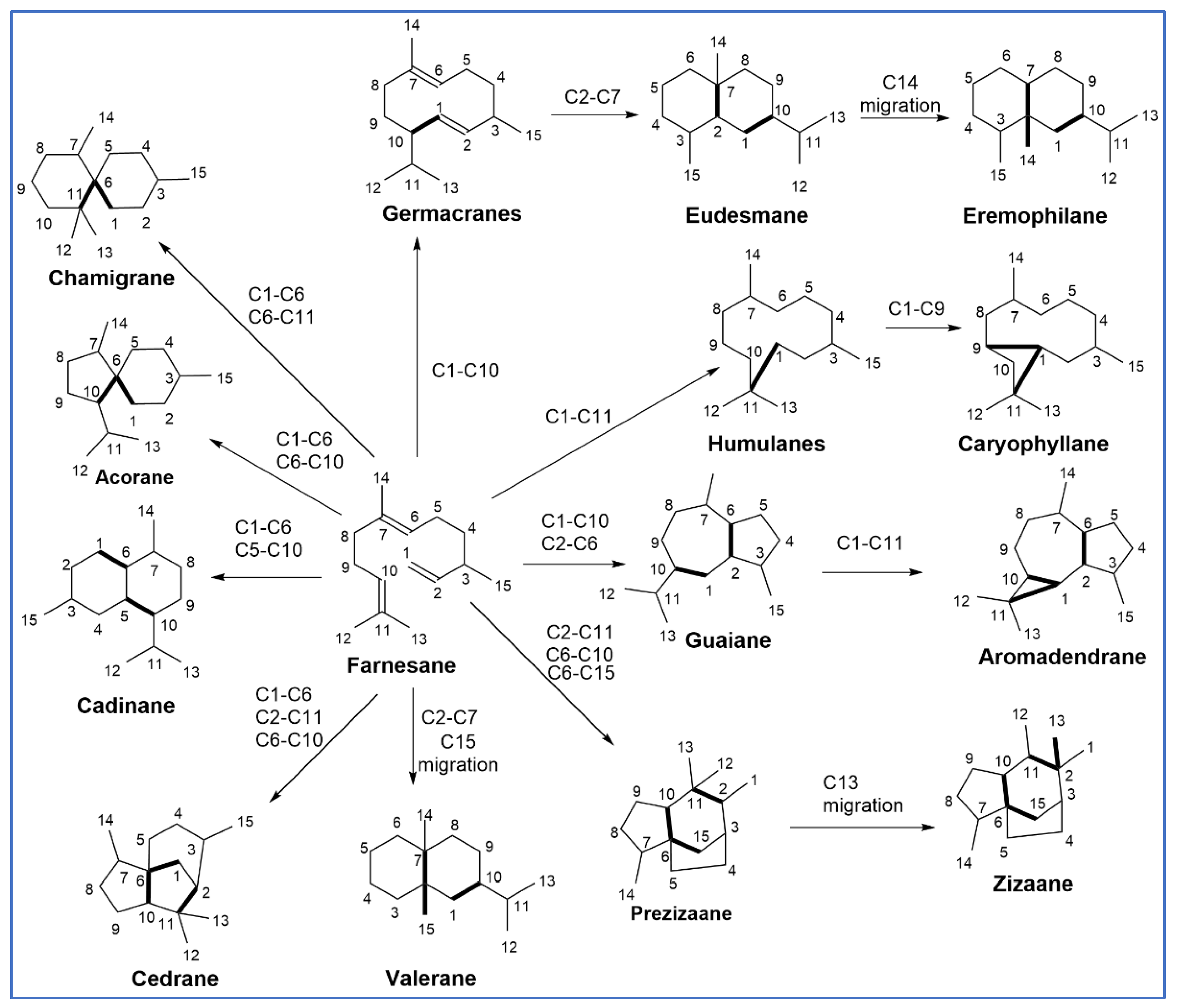 Molecules 27 02450 g002