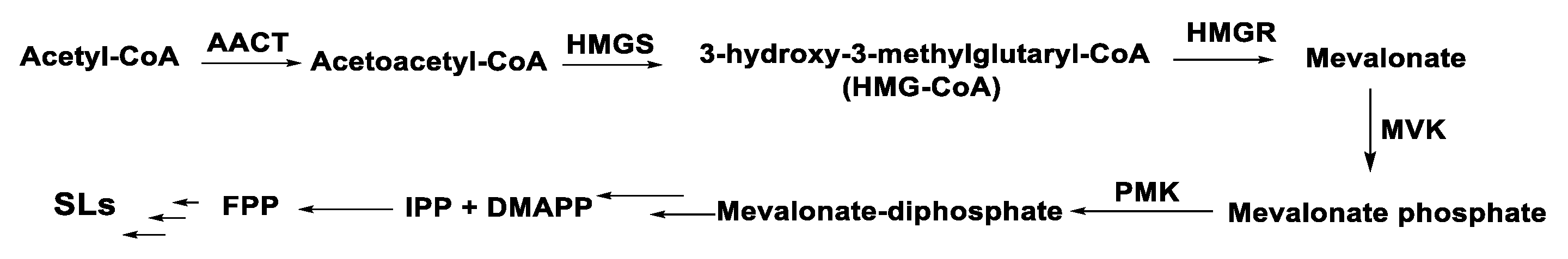 Molecules 27 02450 g004
