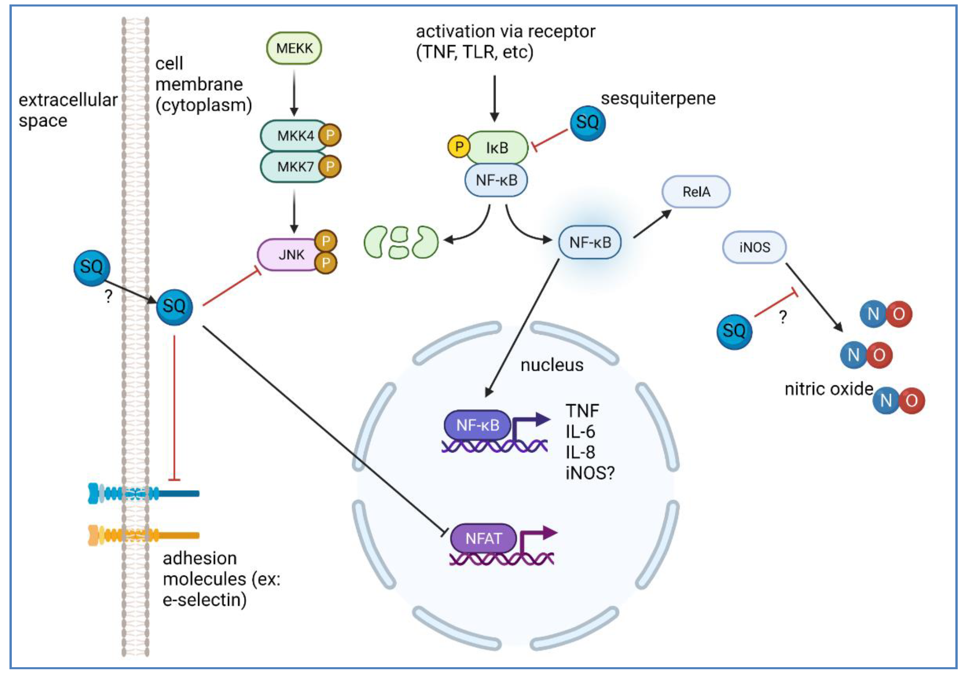 Molecules 27 02450 g005