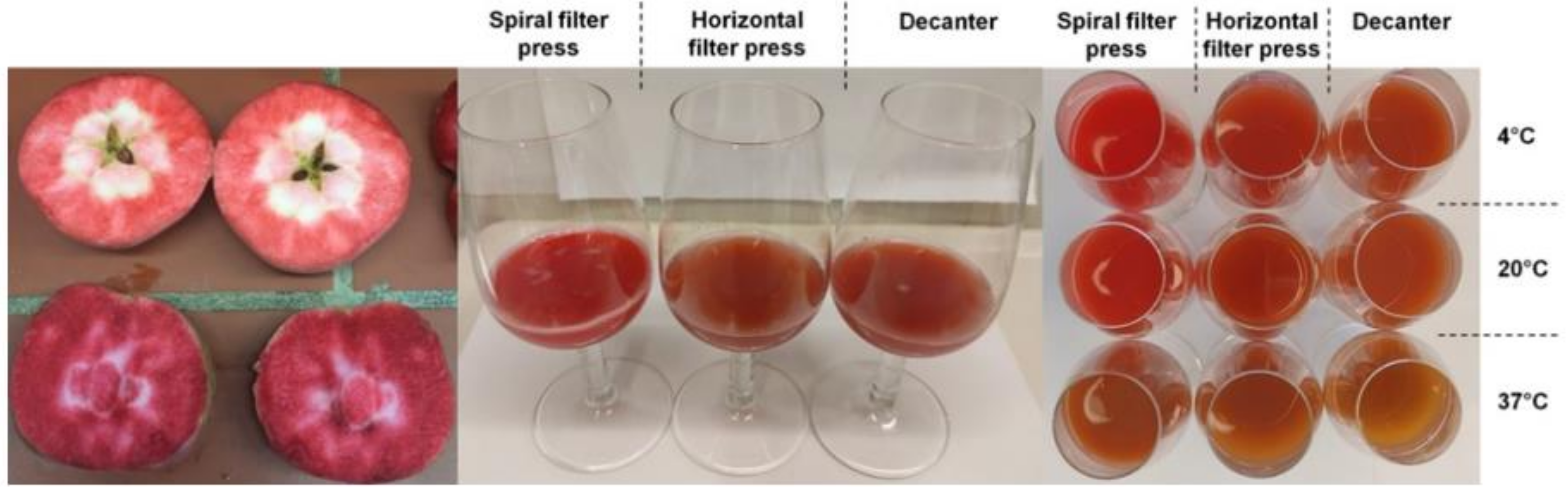 Molecules 27 02459 g002 550