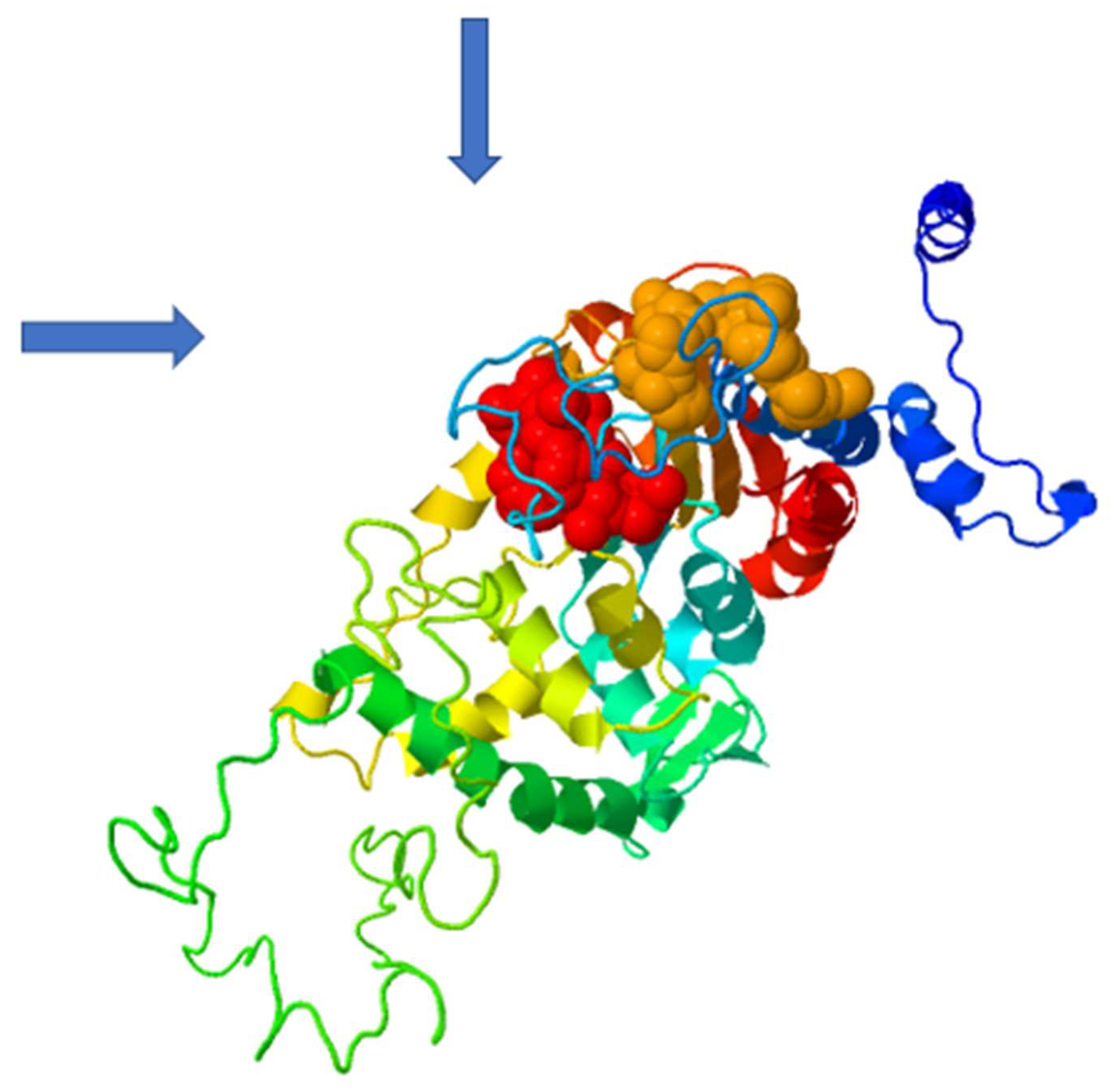 Molecules 27 02463 g007