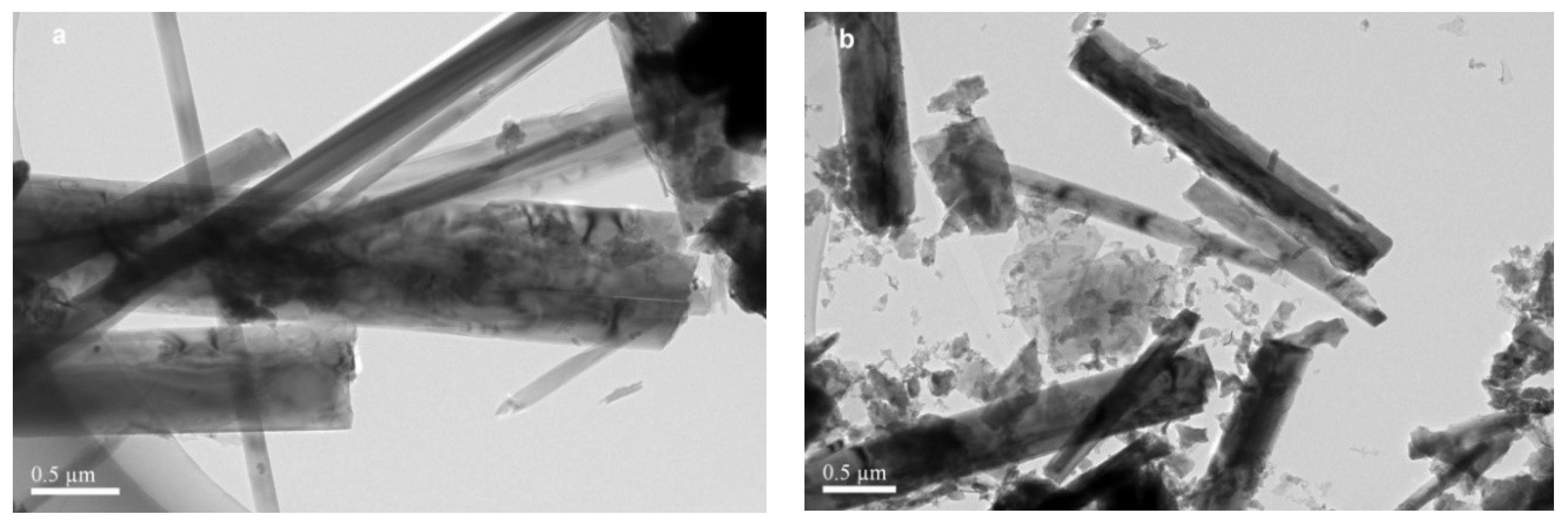 Molecules 27 02464 g005 550