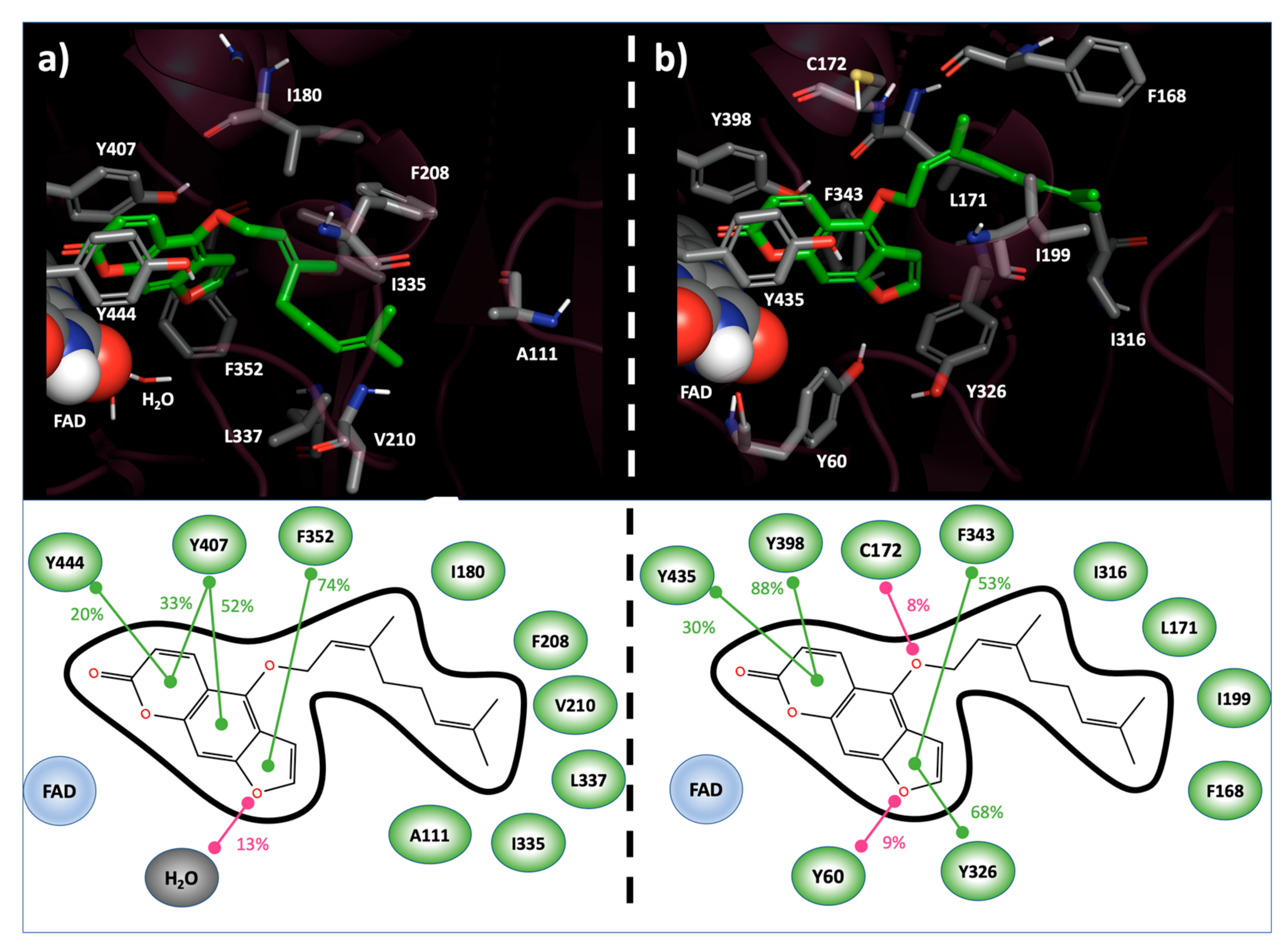 Molecules 27 02467 g001