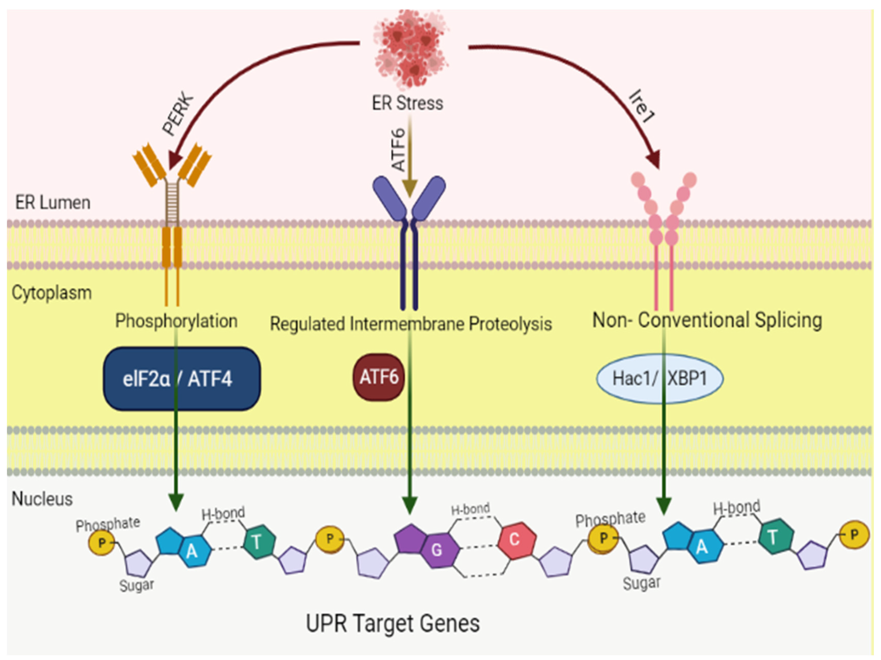 Molecules 27 02471 g001