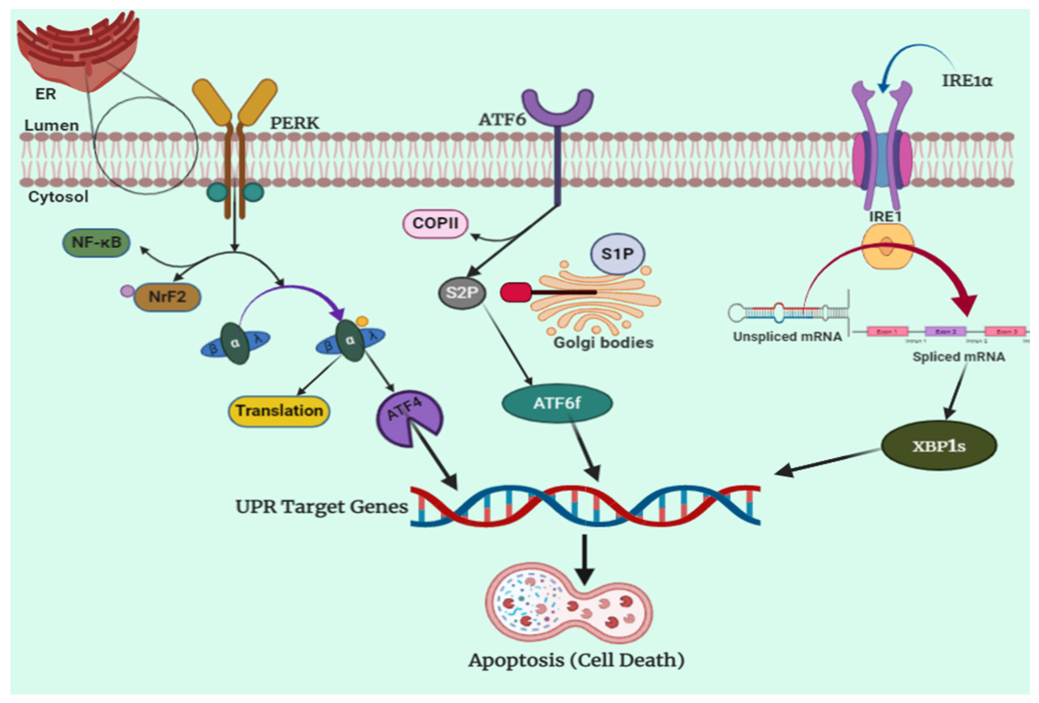 Molecules 27 02471 g002