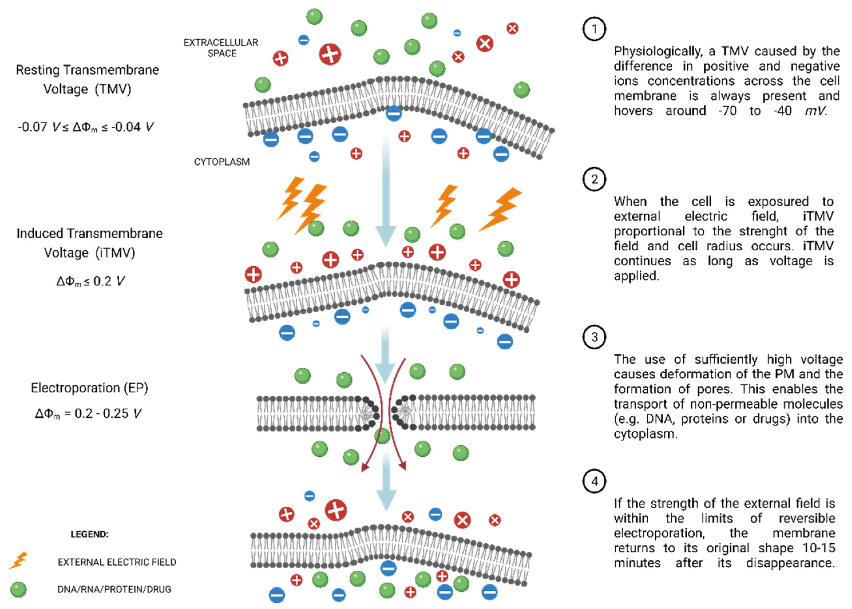 Molecules 27 02476 g002