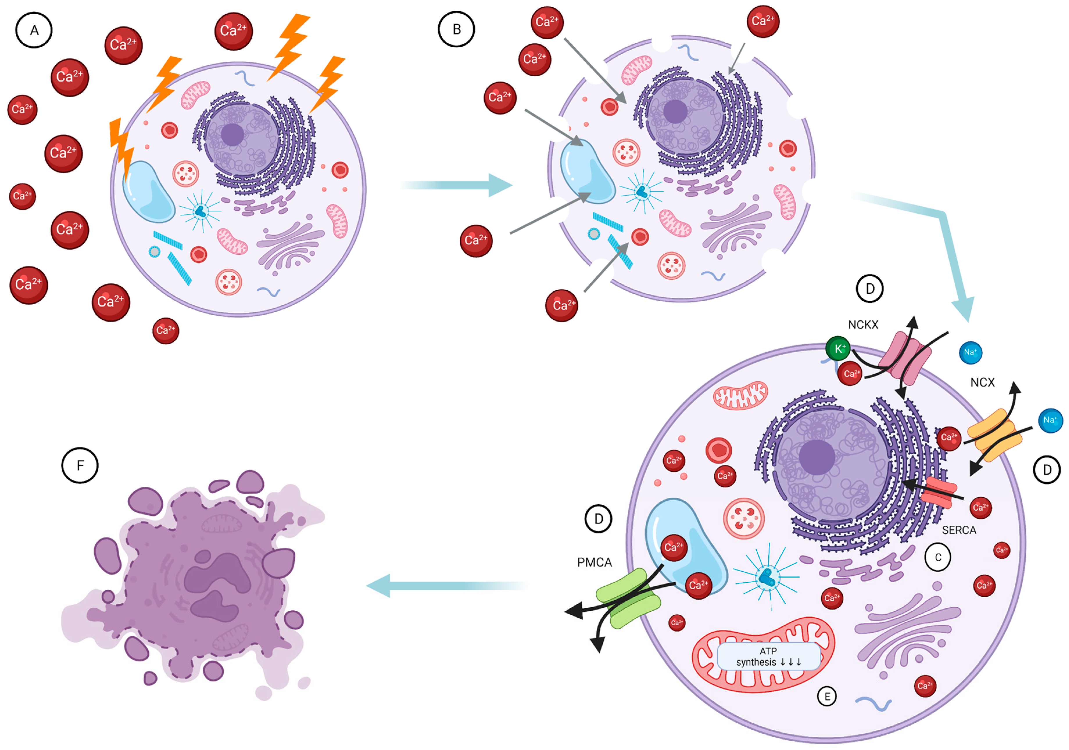 Molecules 27 02476 g003