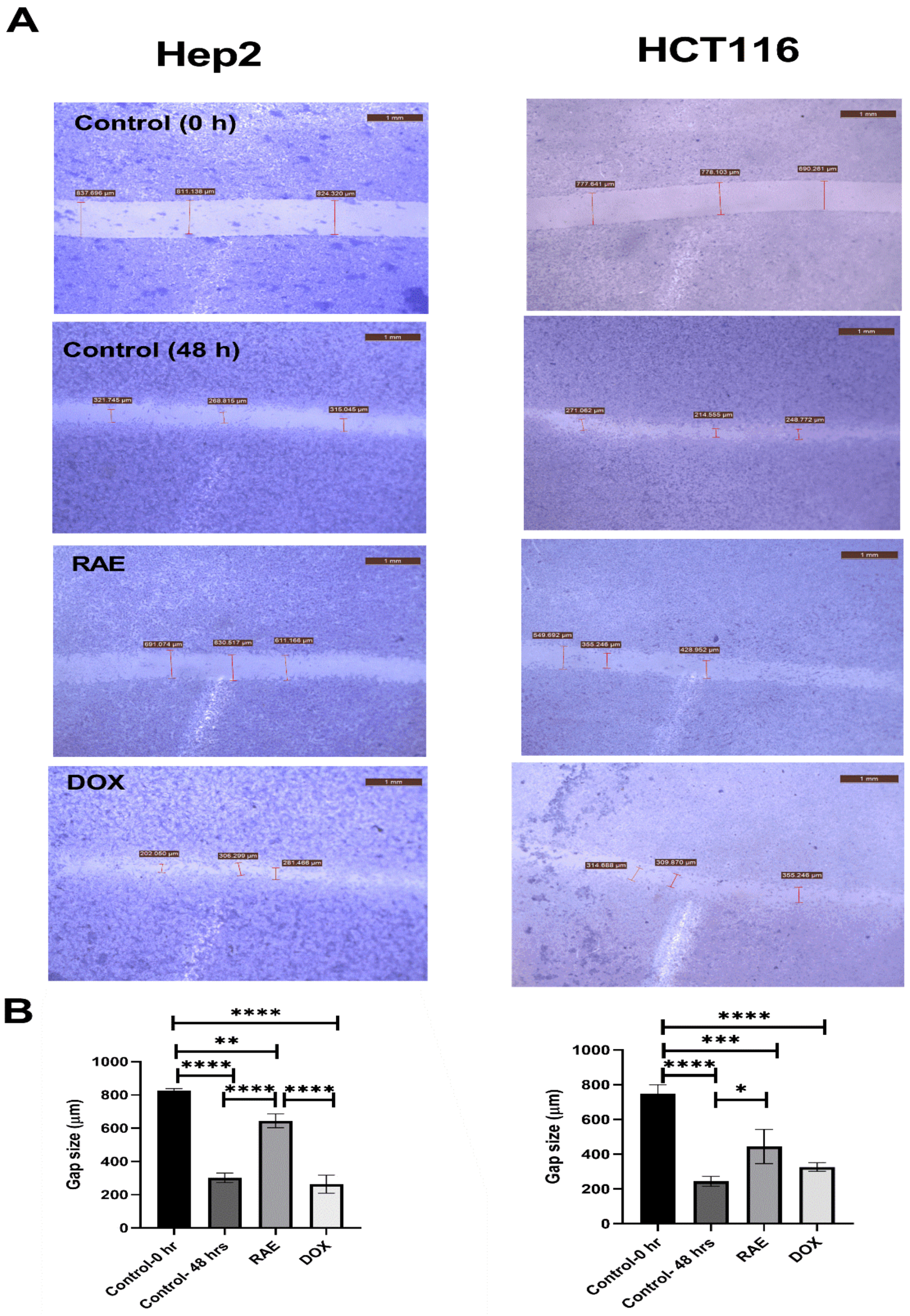 Molecules 27 02480 g004