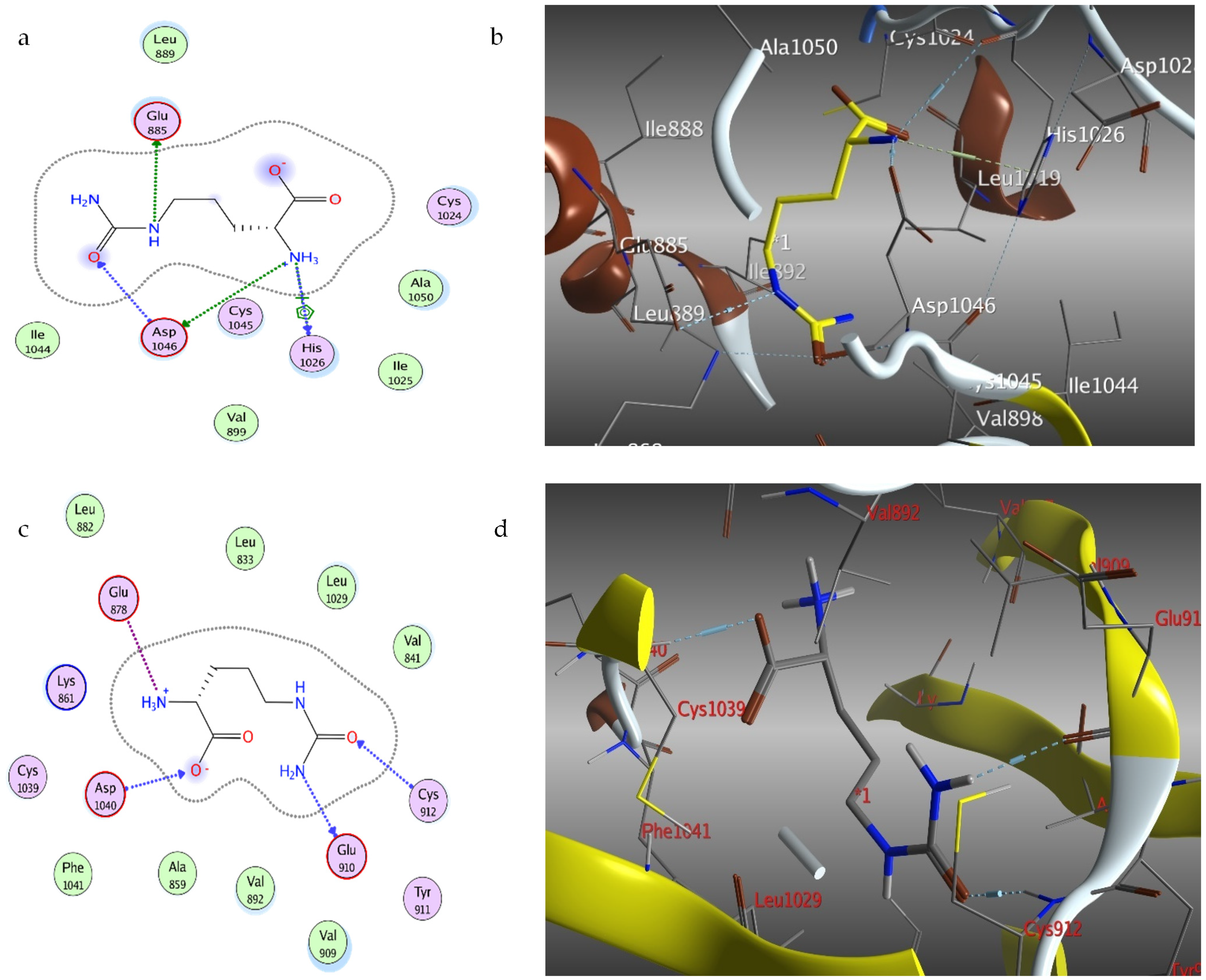 Molecules 27 02480 g008