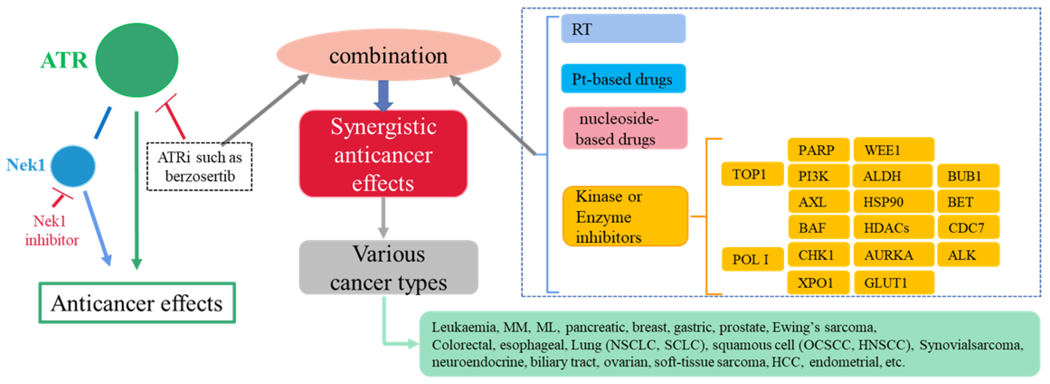 Molecules 27 02491 g003