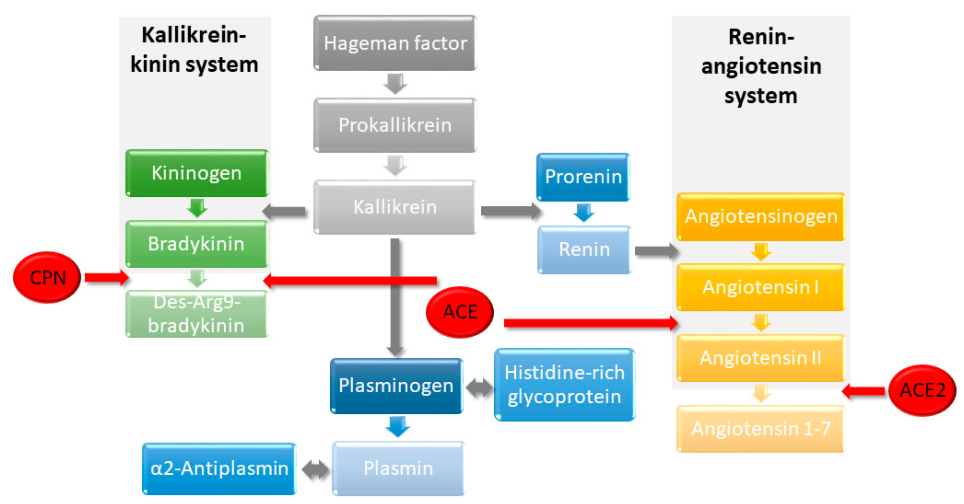Molecules 27 02495 g007 550