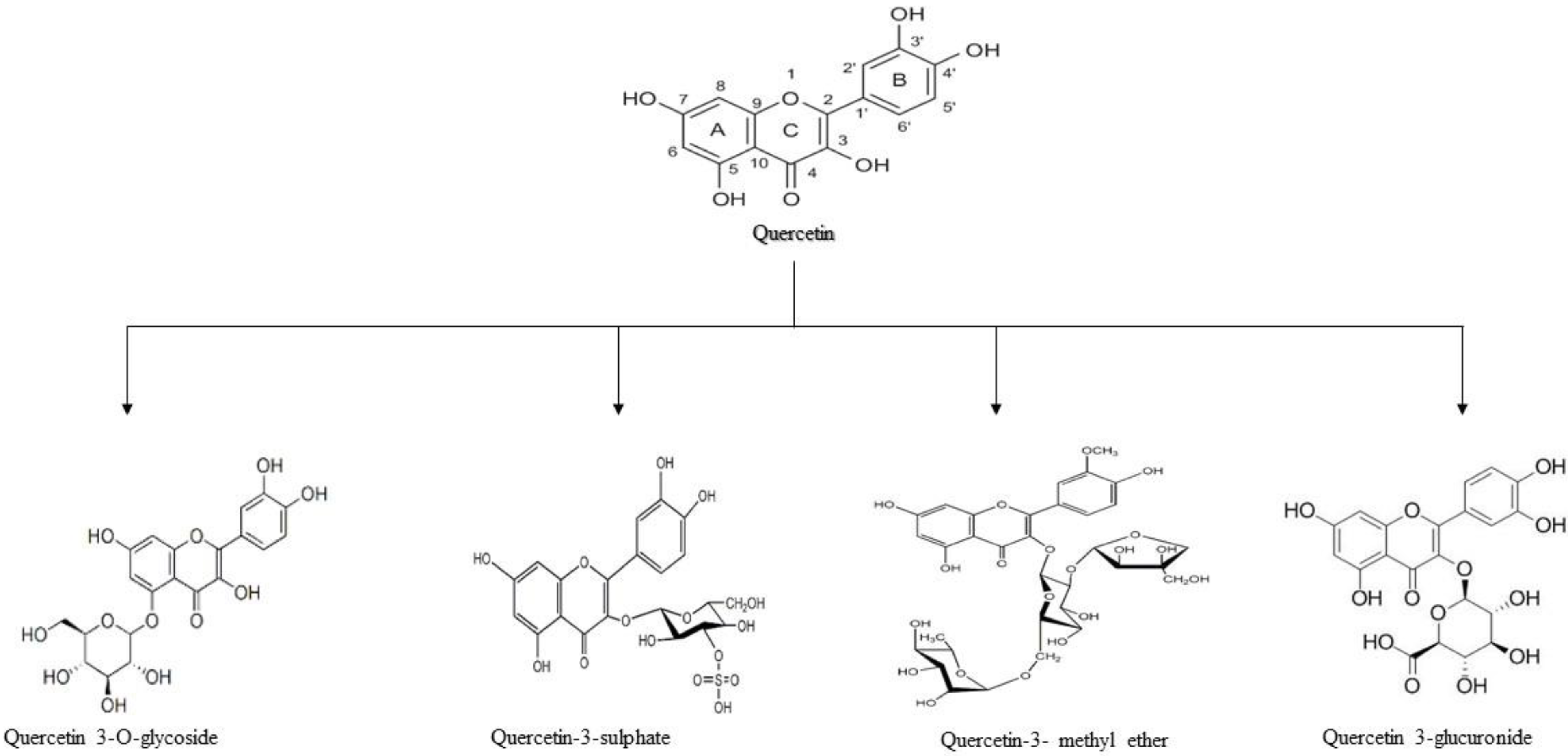 Molecules 27 02498 g001 550