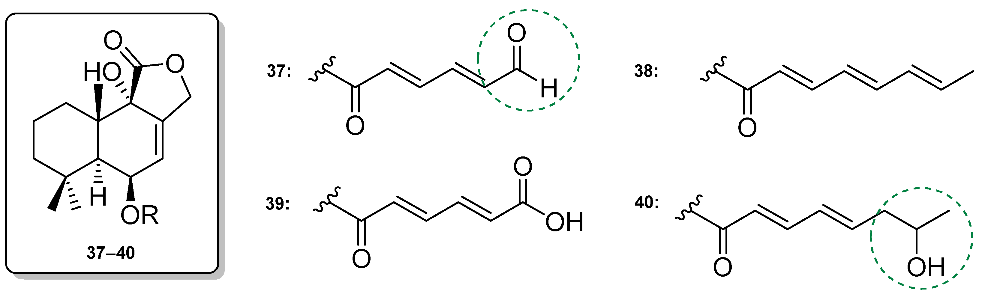 Molecules 27 02501 g010