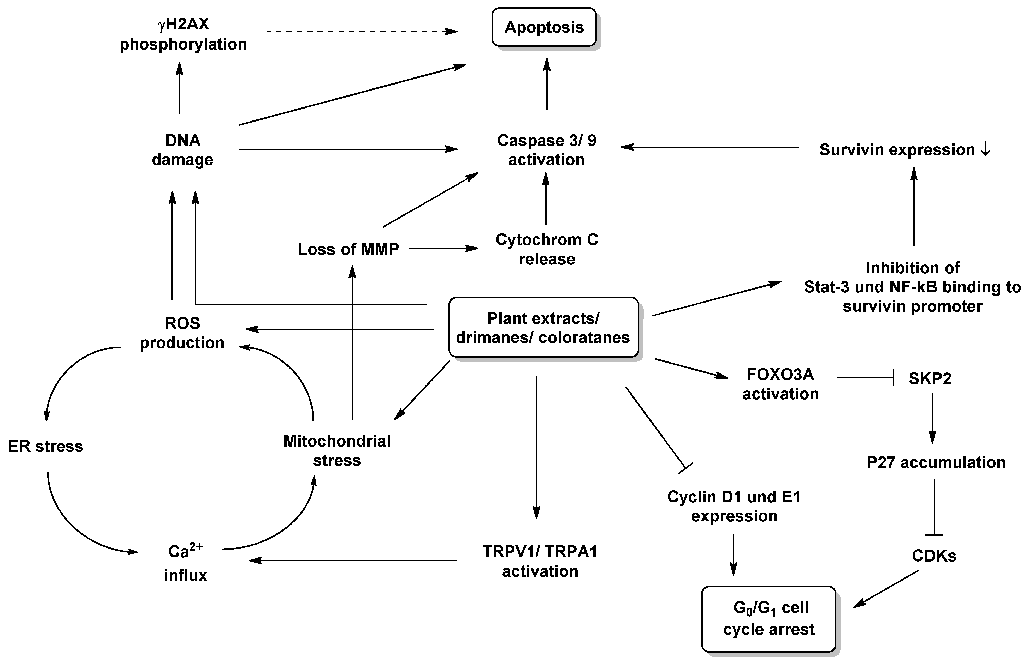 Molecules 27 02501 g017