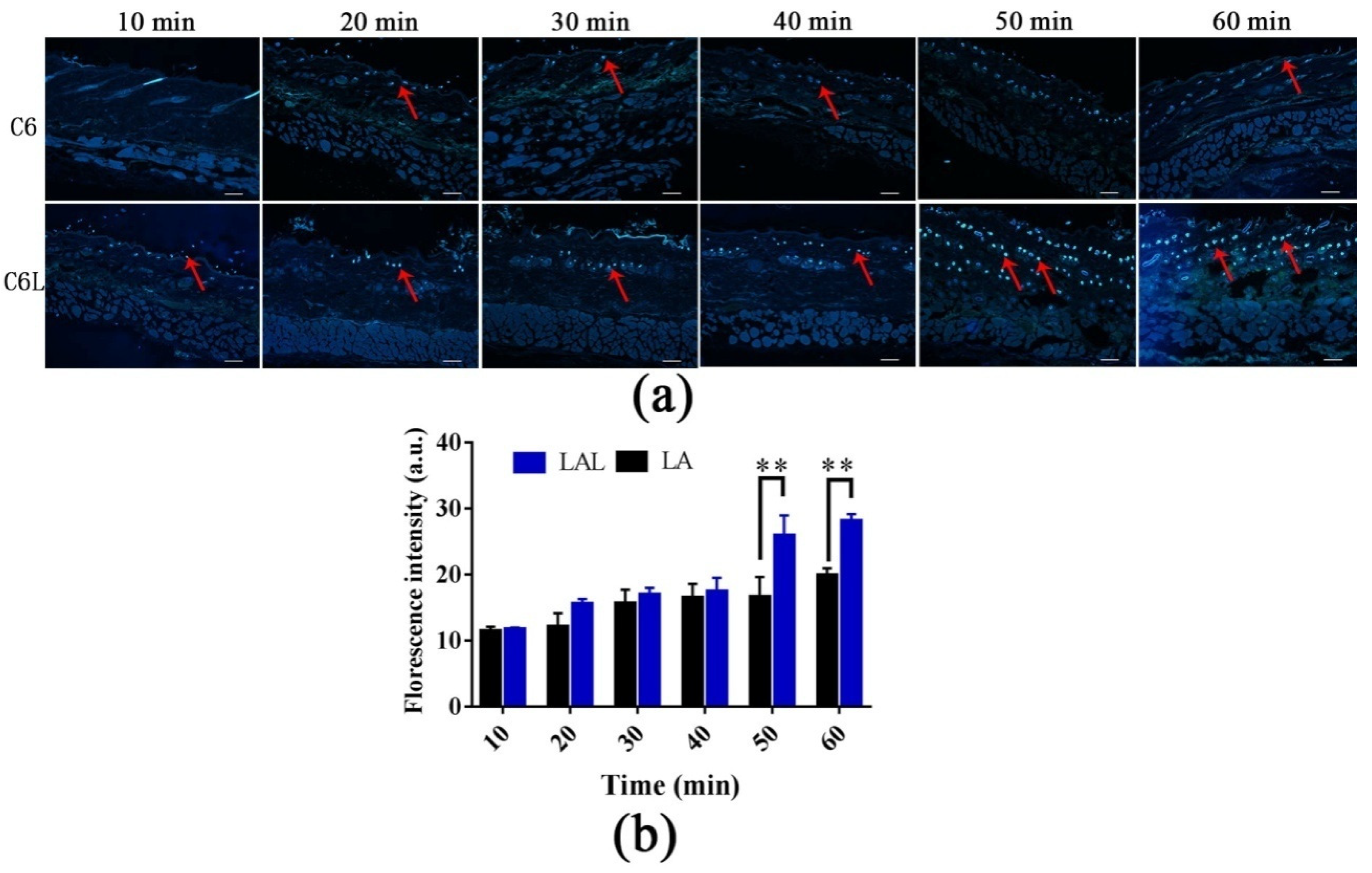 Molecules 27 02504 g004 550