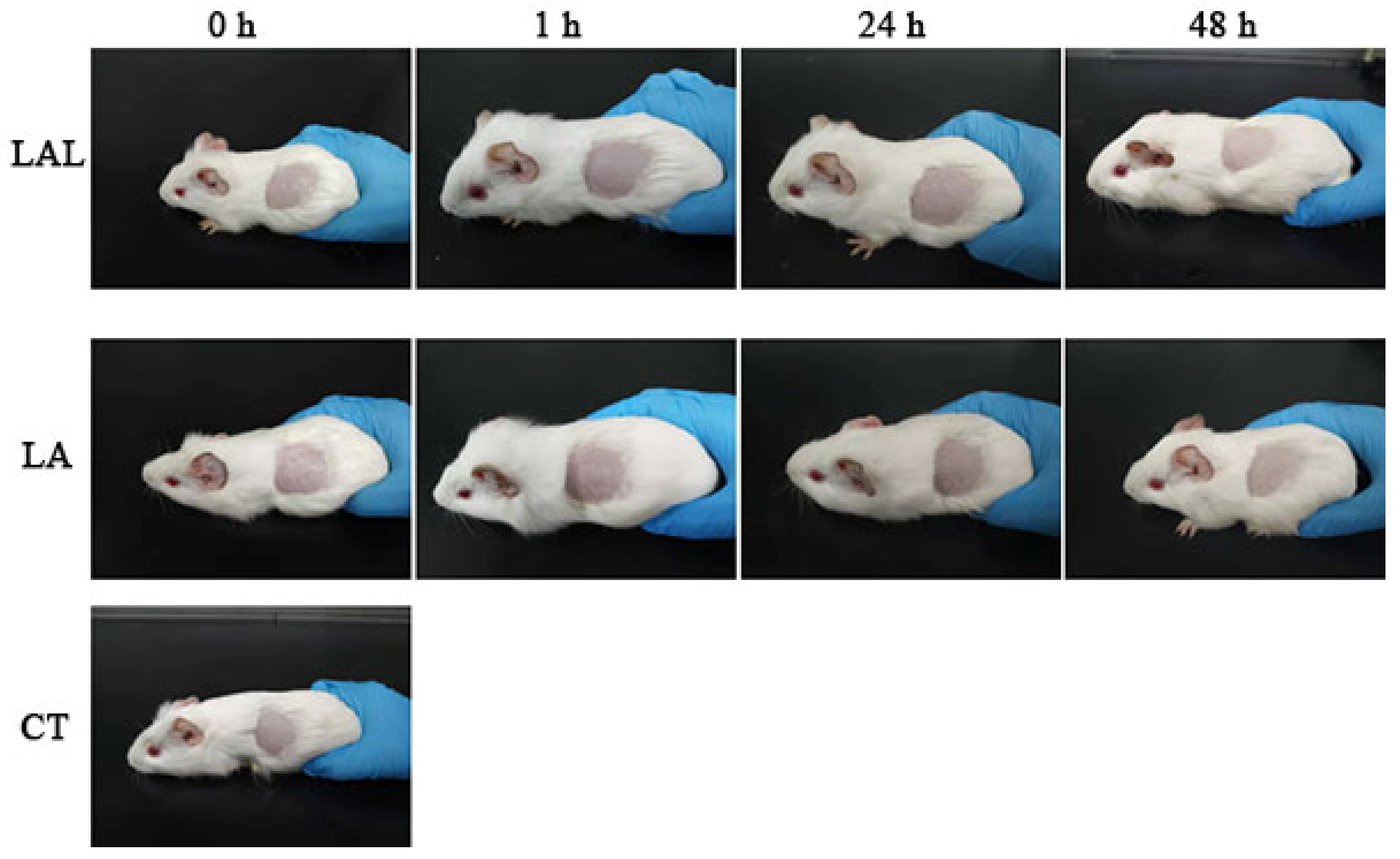 Molecules 27 02504 g007 550