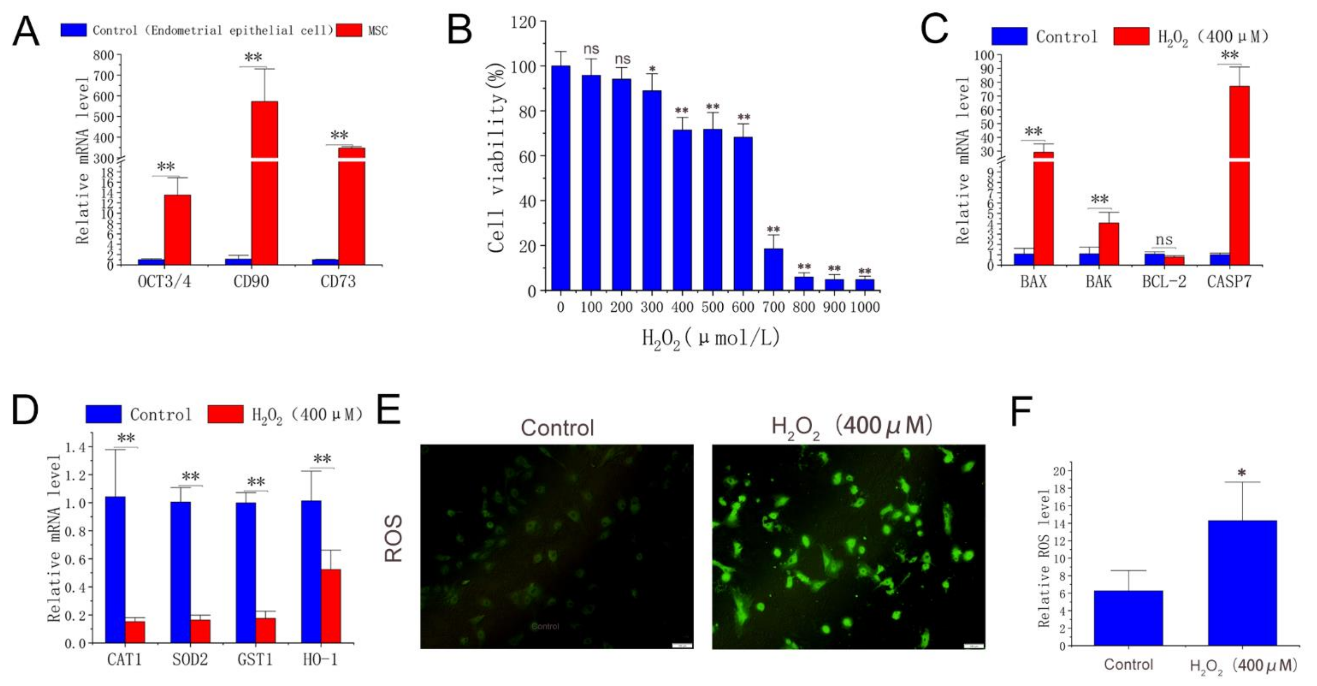 Molecules 27 02515 g001