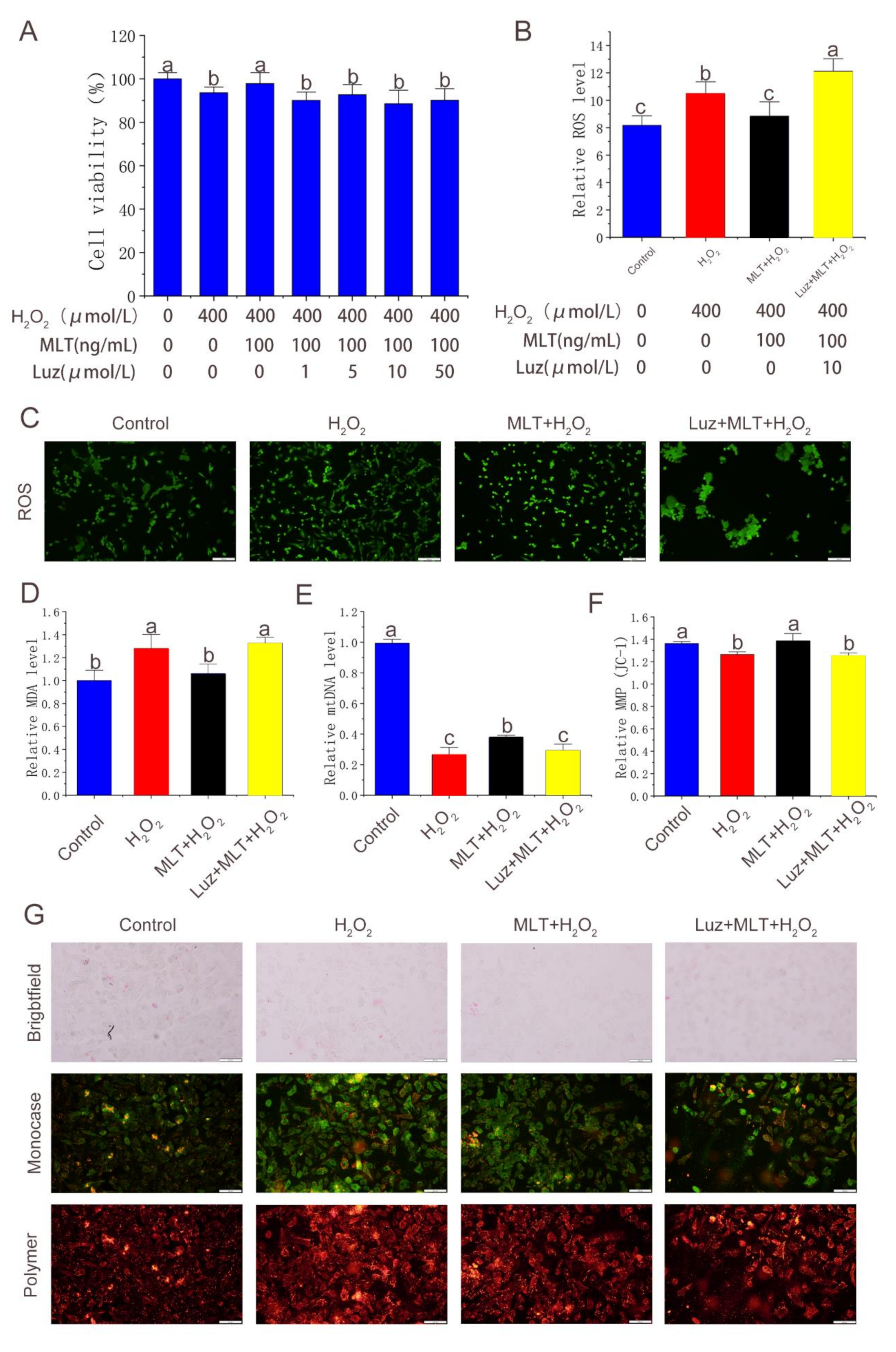 Molecules 27 02515 g003