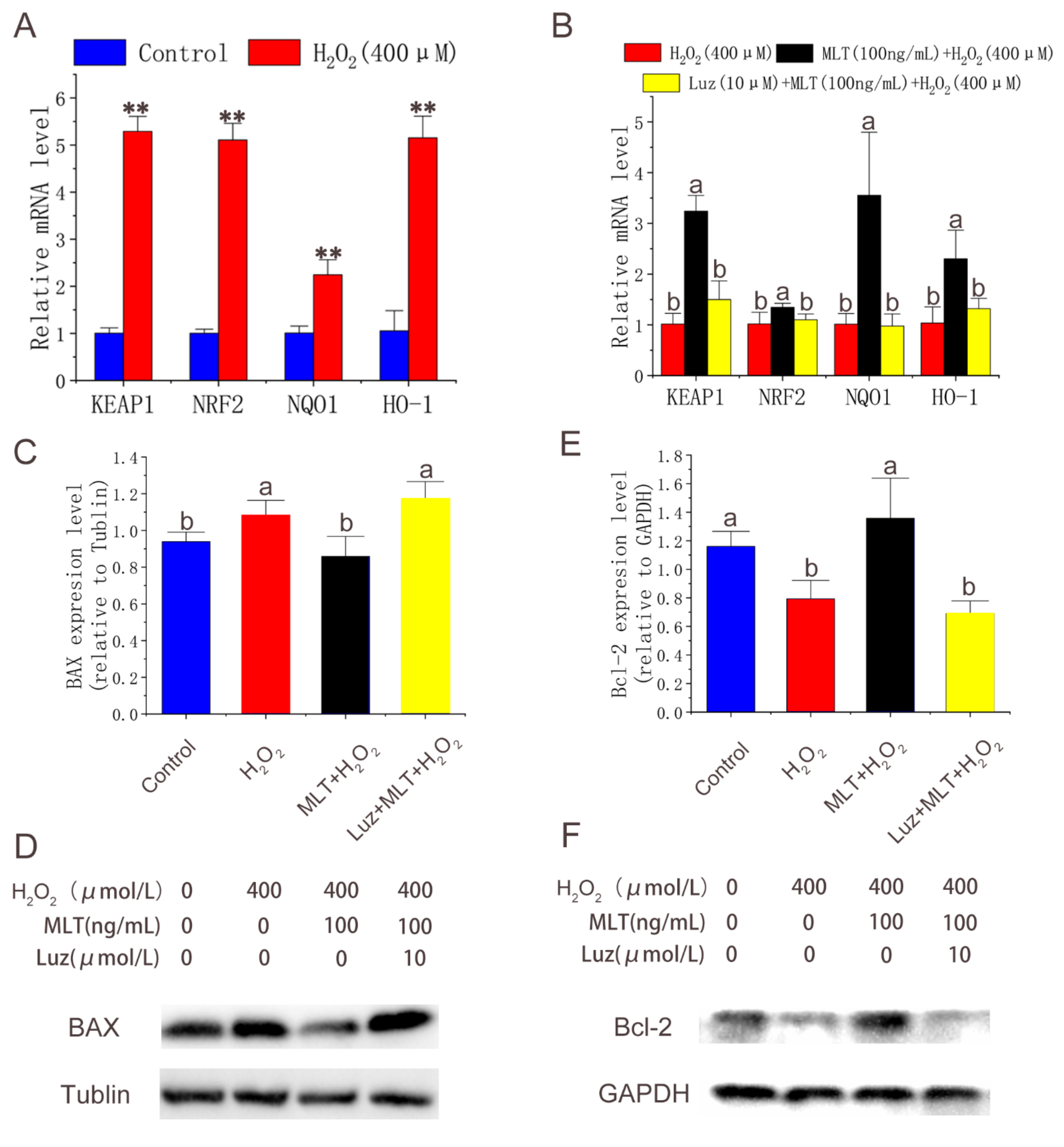 Molecules 27 02515 g004