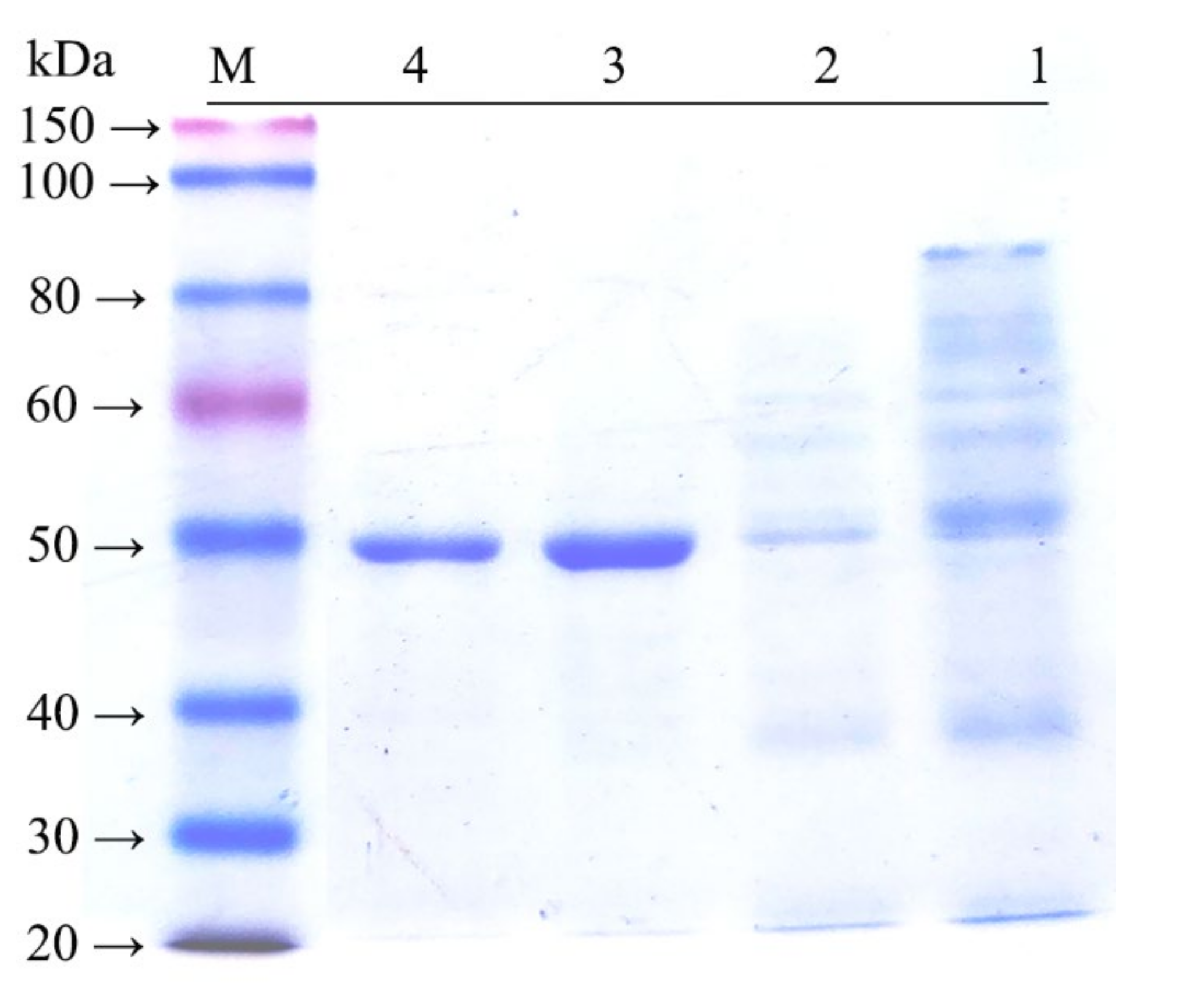 Molecules 27 02516 g003