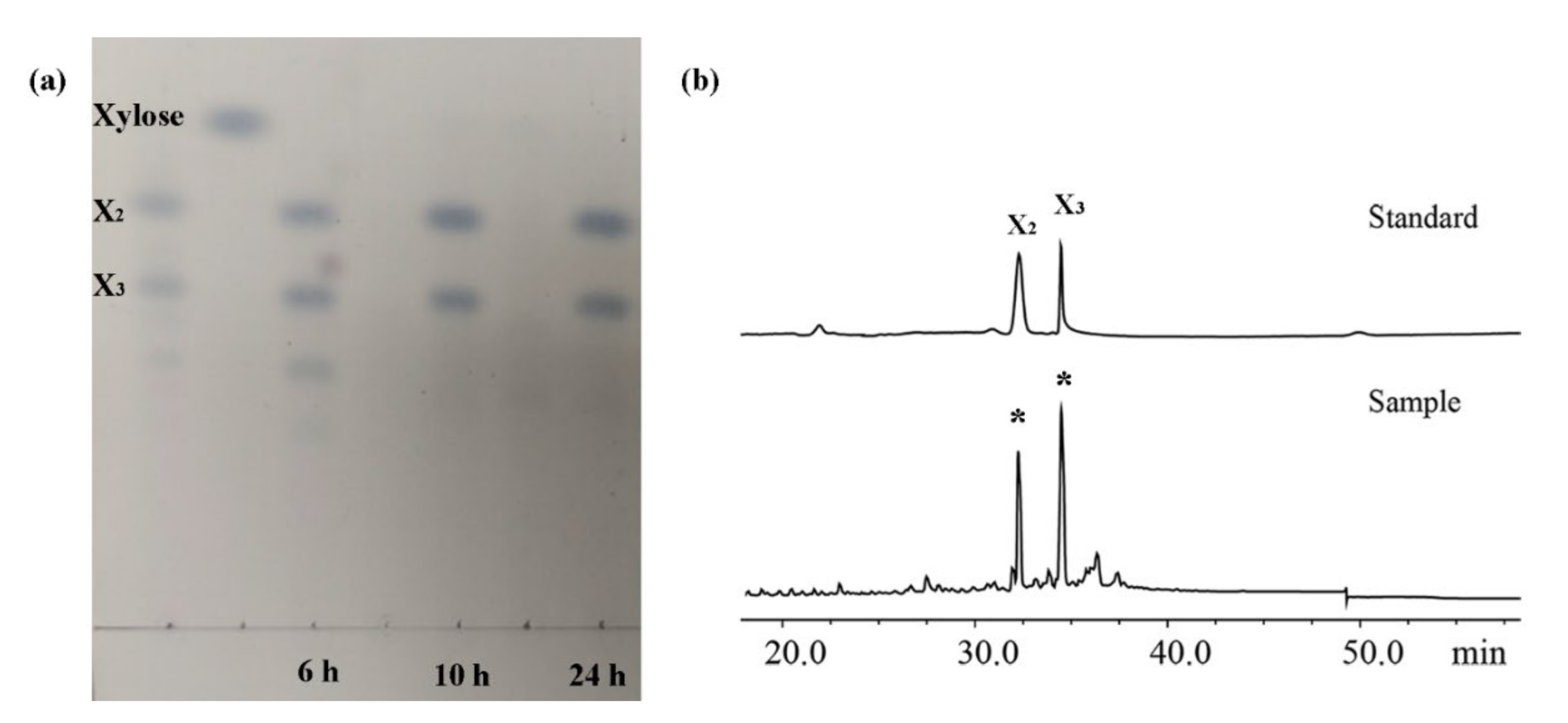 Molecules 27 02516 g007