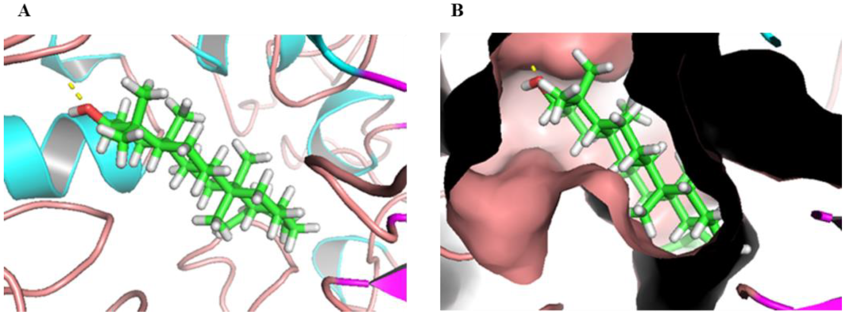 Molecules 27 02517 g003 Molecules 27 02517 g003