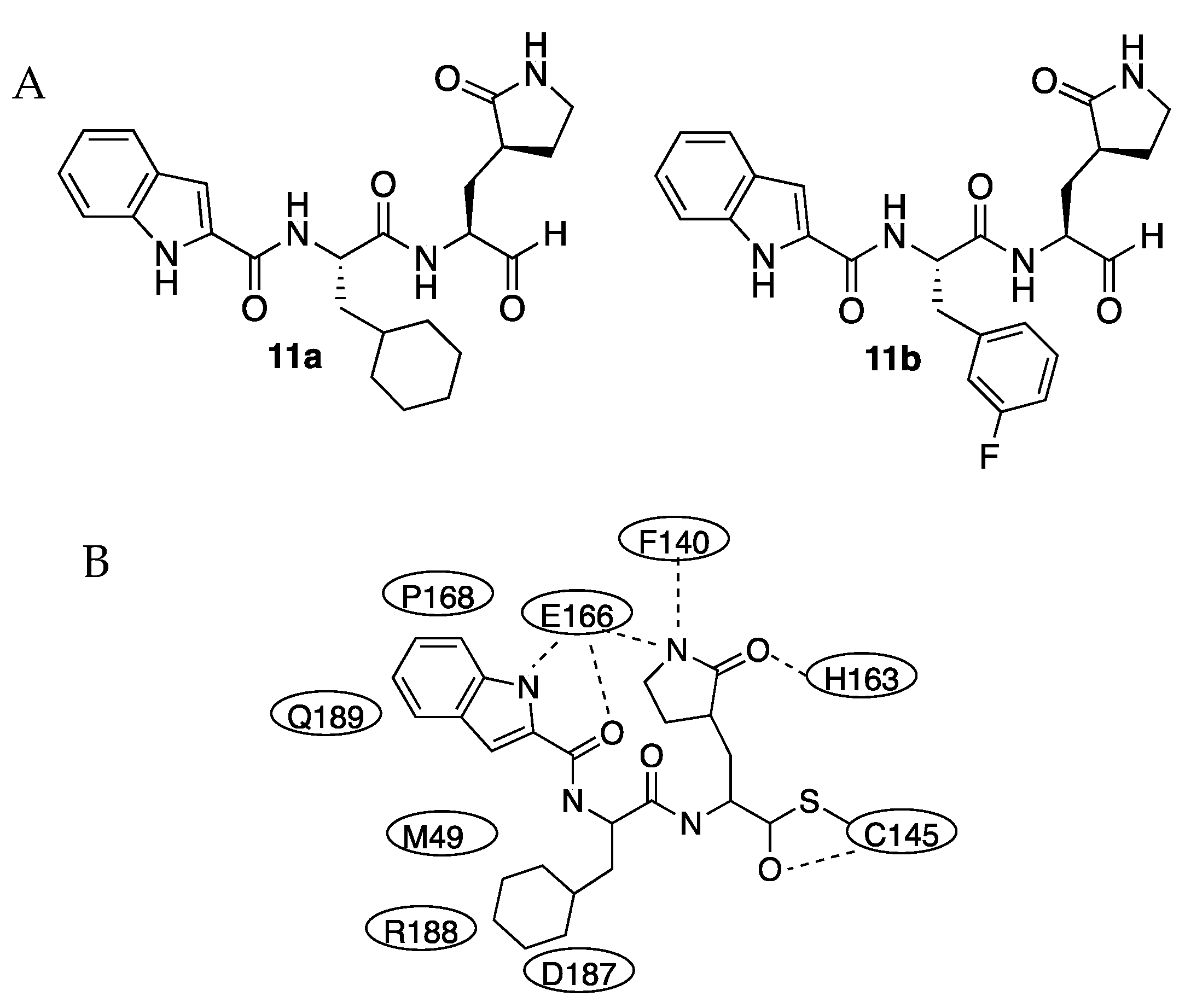 Molecules 27 02523 g003 550