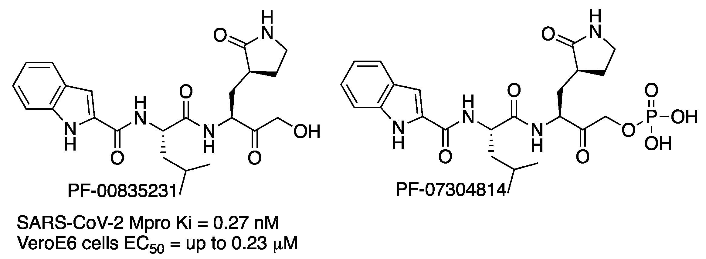 Molecules 27 02523 g006 550
