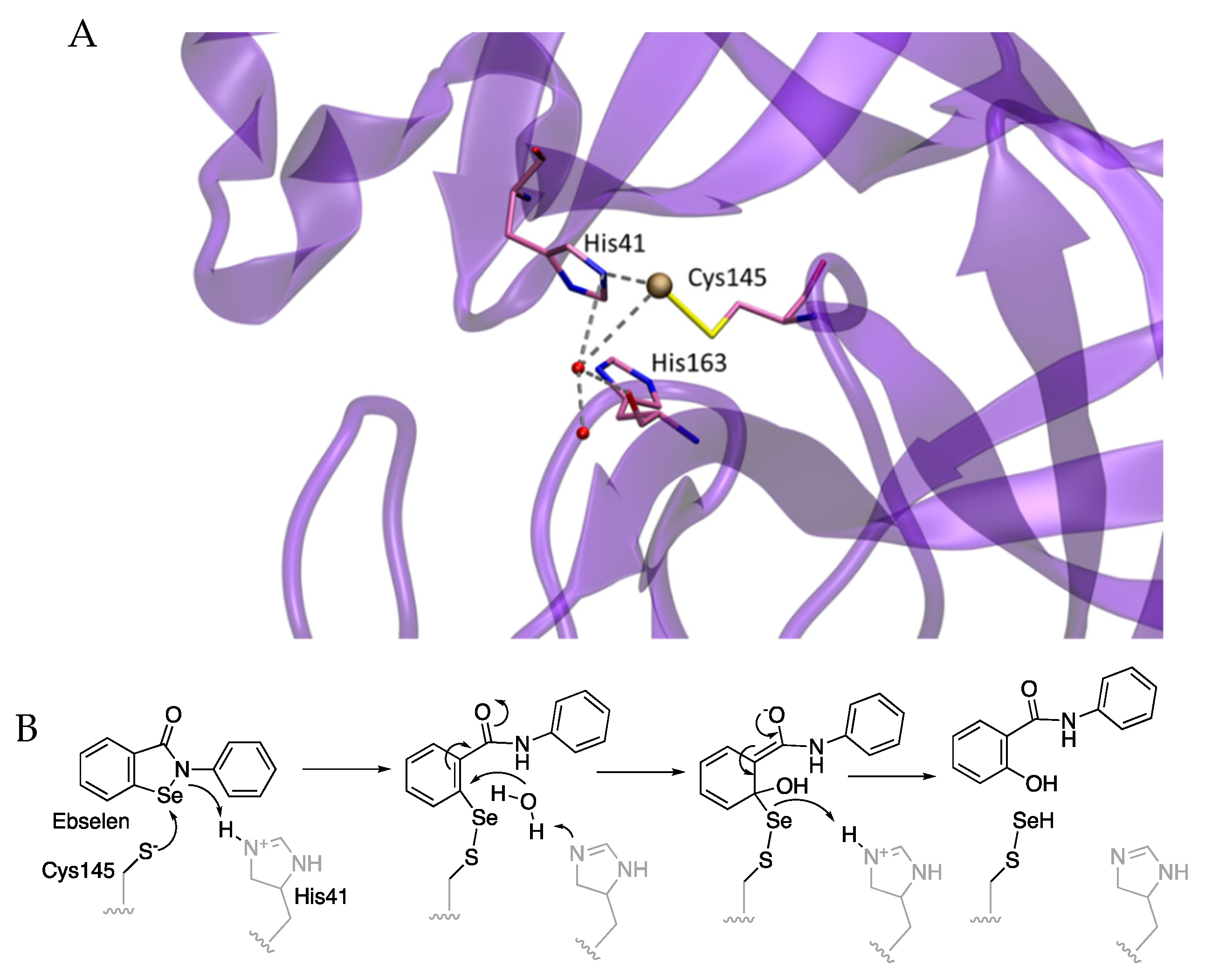 Molecules 27 02523 g009 550