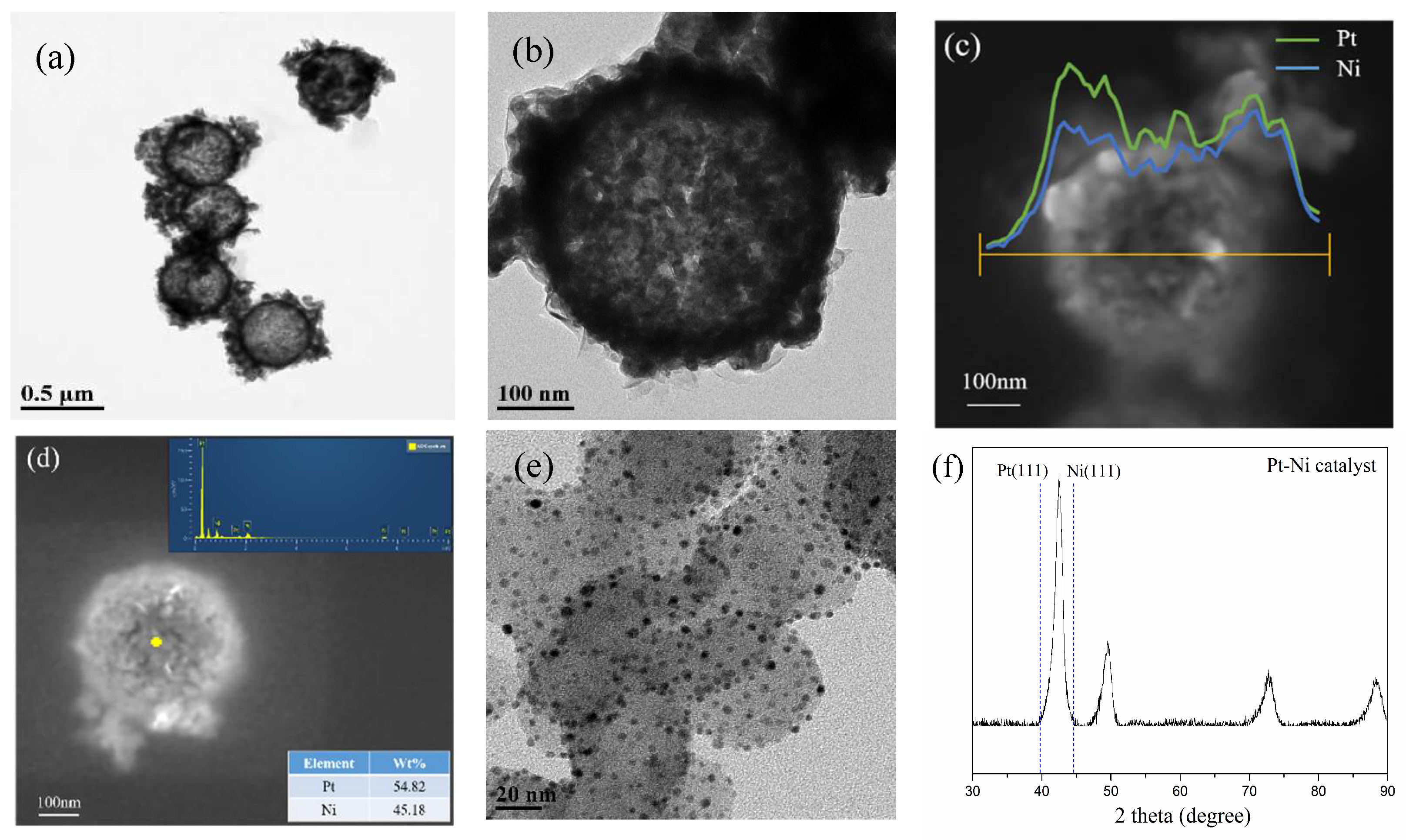 Molecules 27 02524 g001