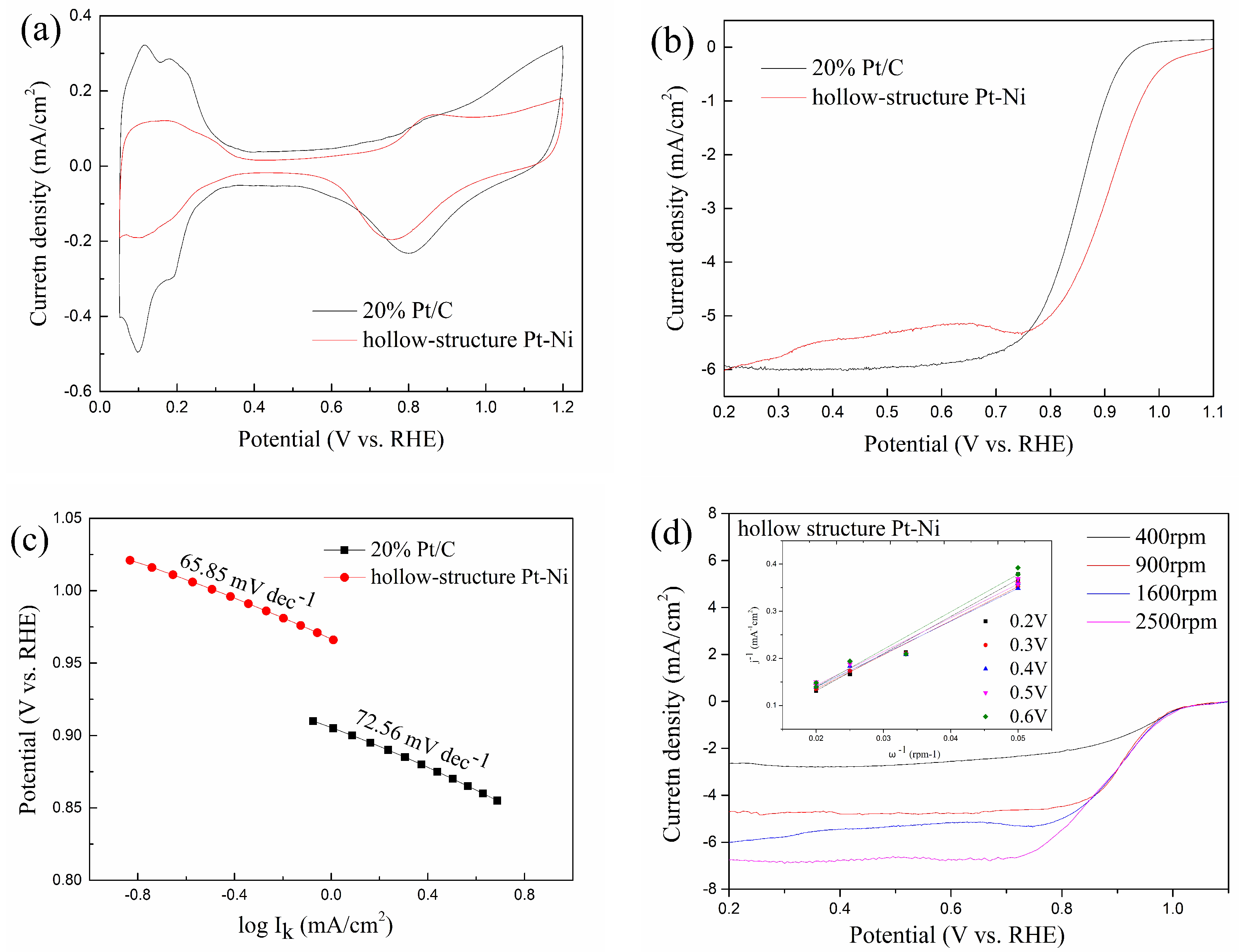 Molecules 27 02524 g003