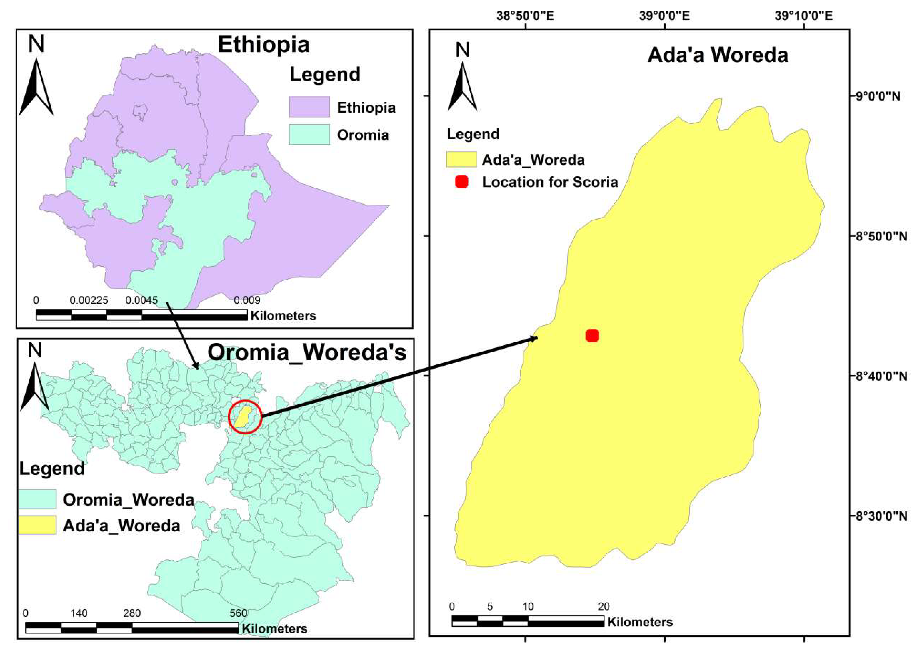 Molecules 27 02527 g011 550