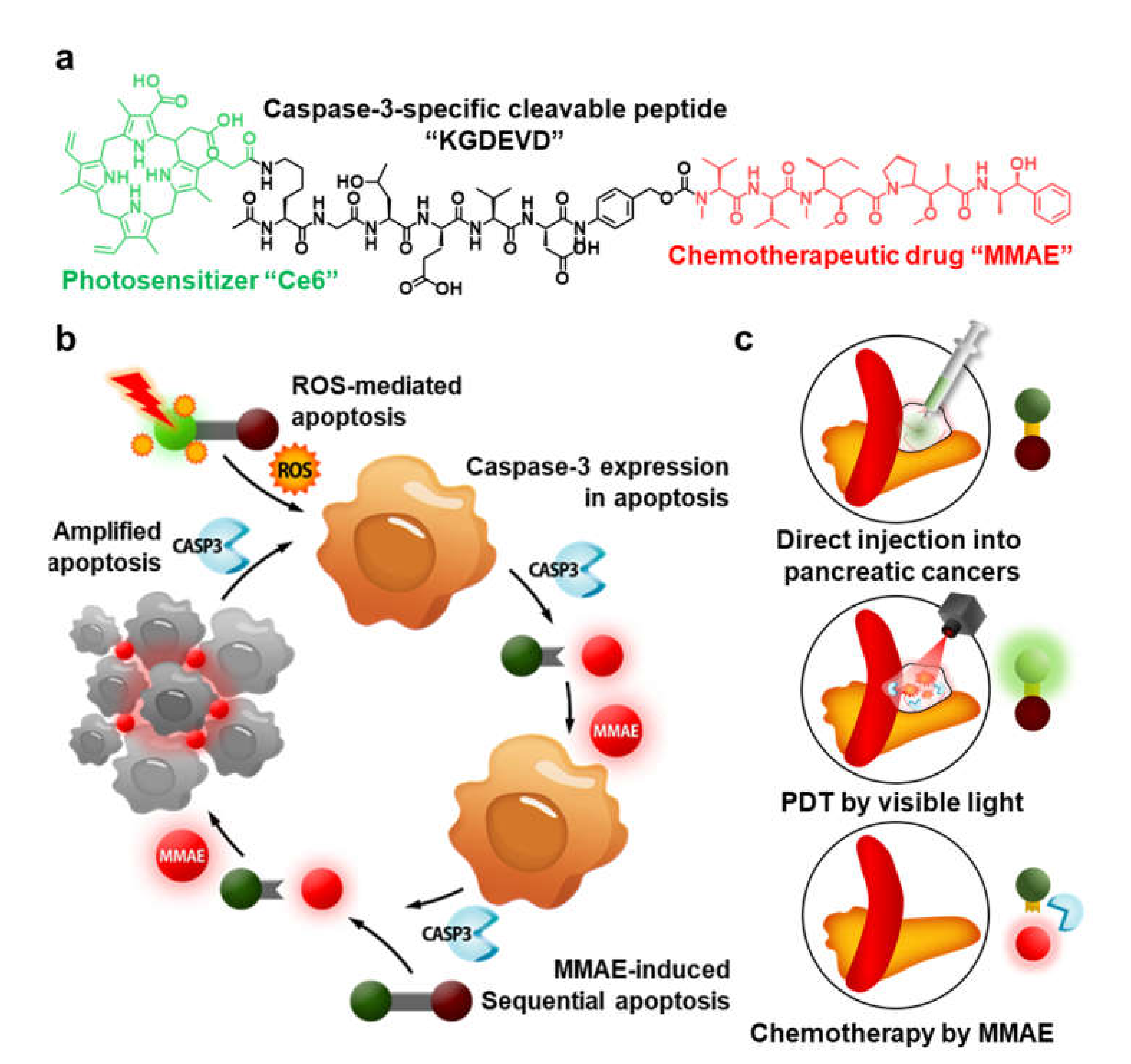 Molecules 27 02529 g001