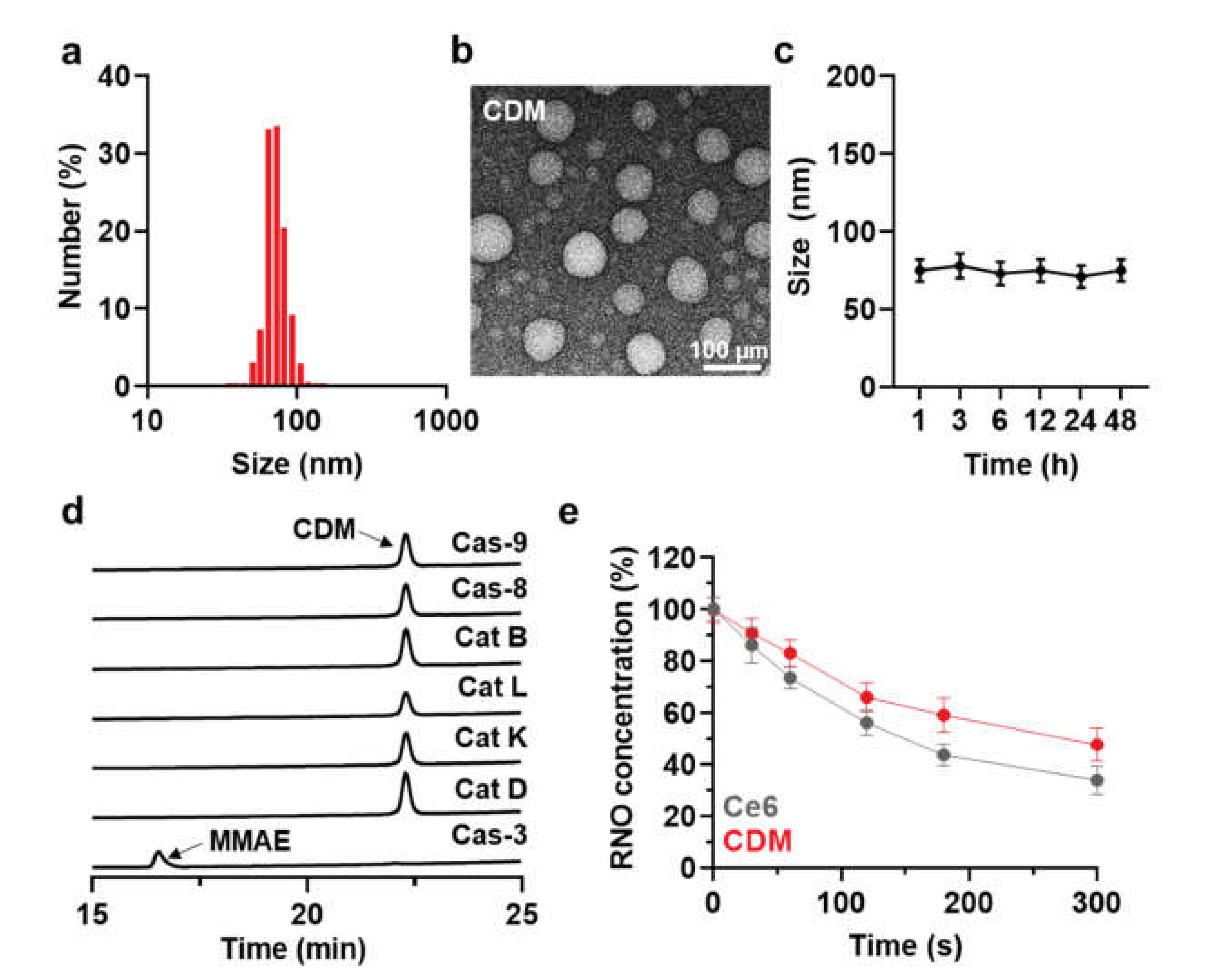Molecules 27 02529 g002