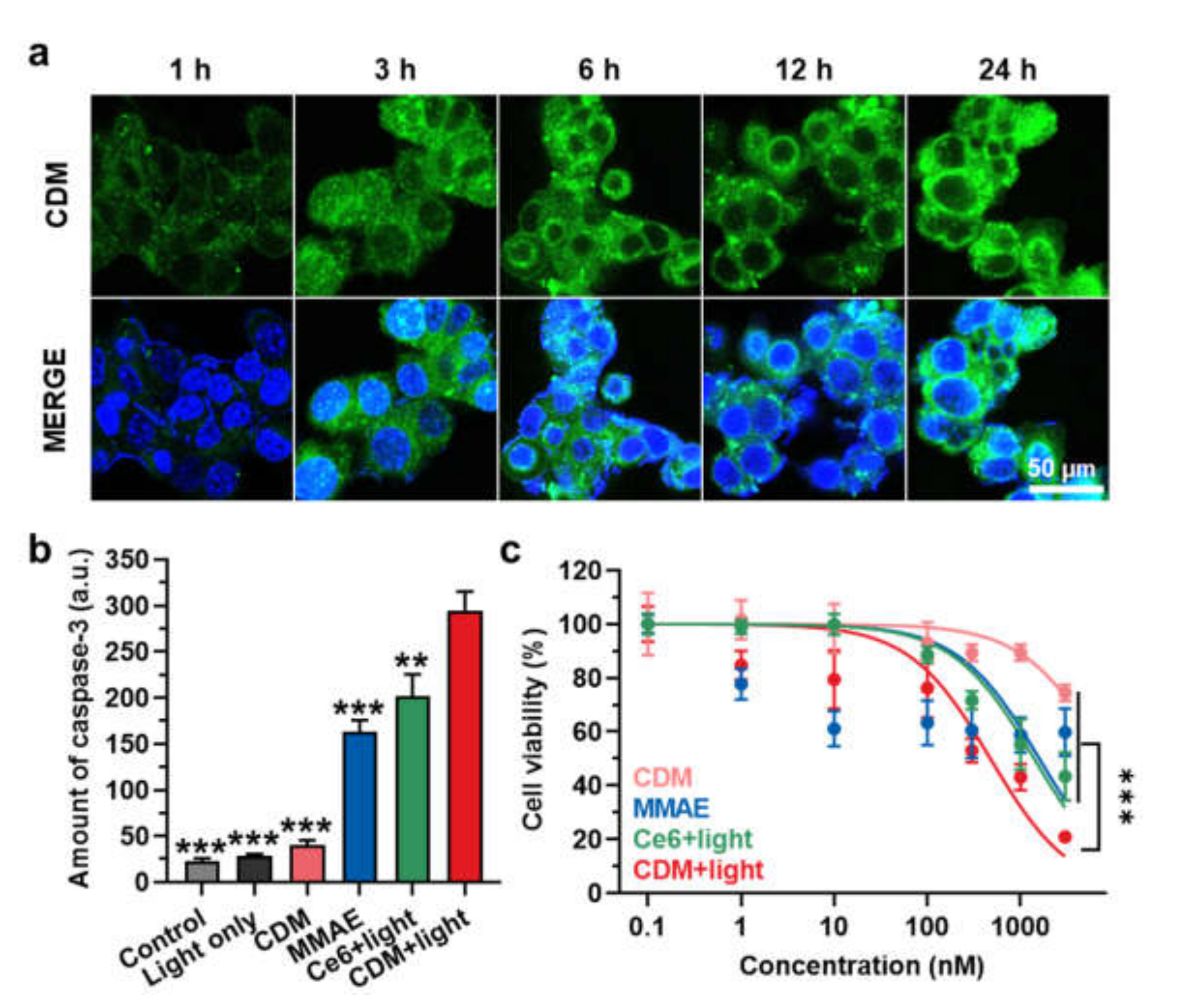 Molecules 27 02529 g003