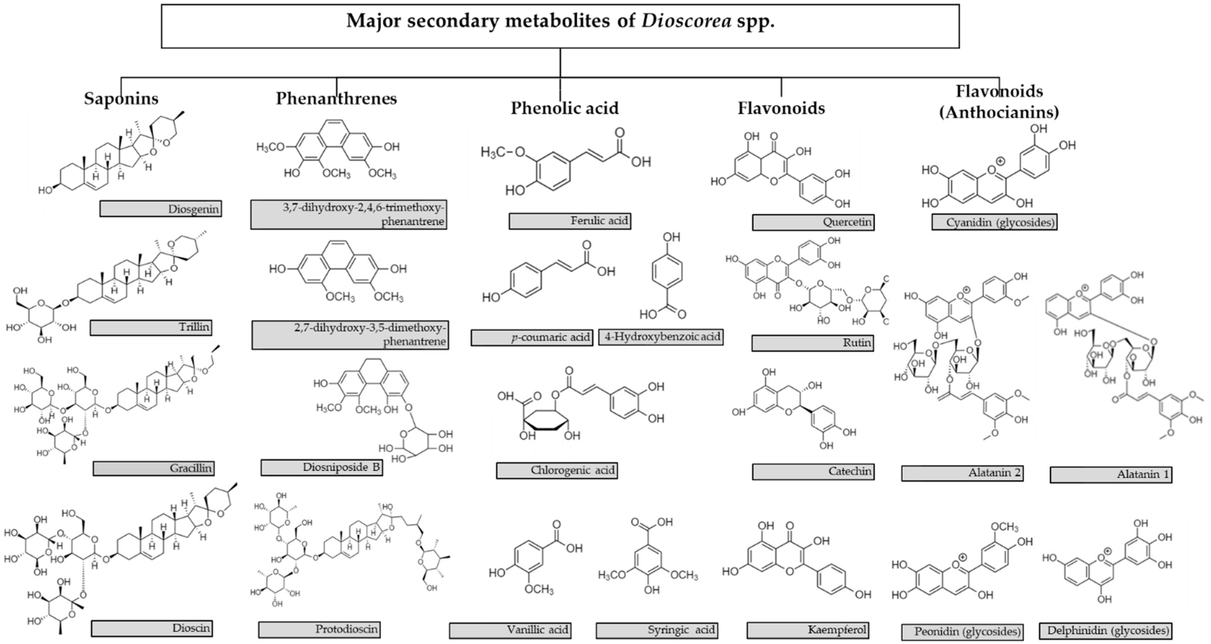 Molecules 27 02530 g001 Molecules 27 02530 g001
