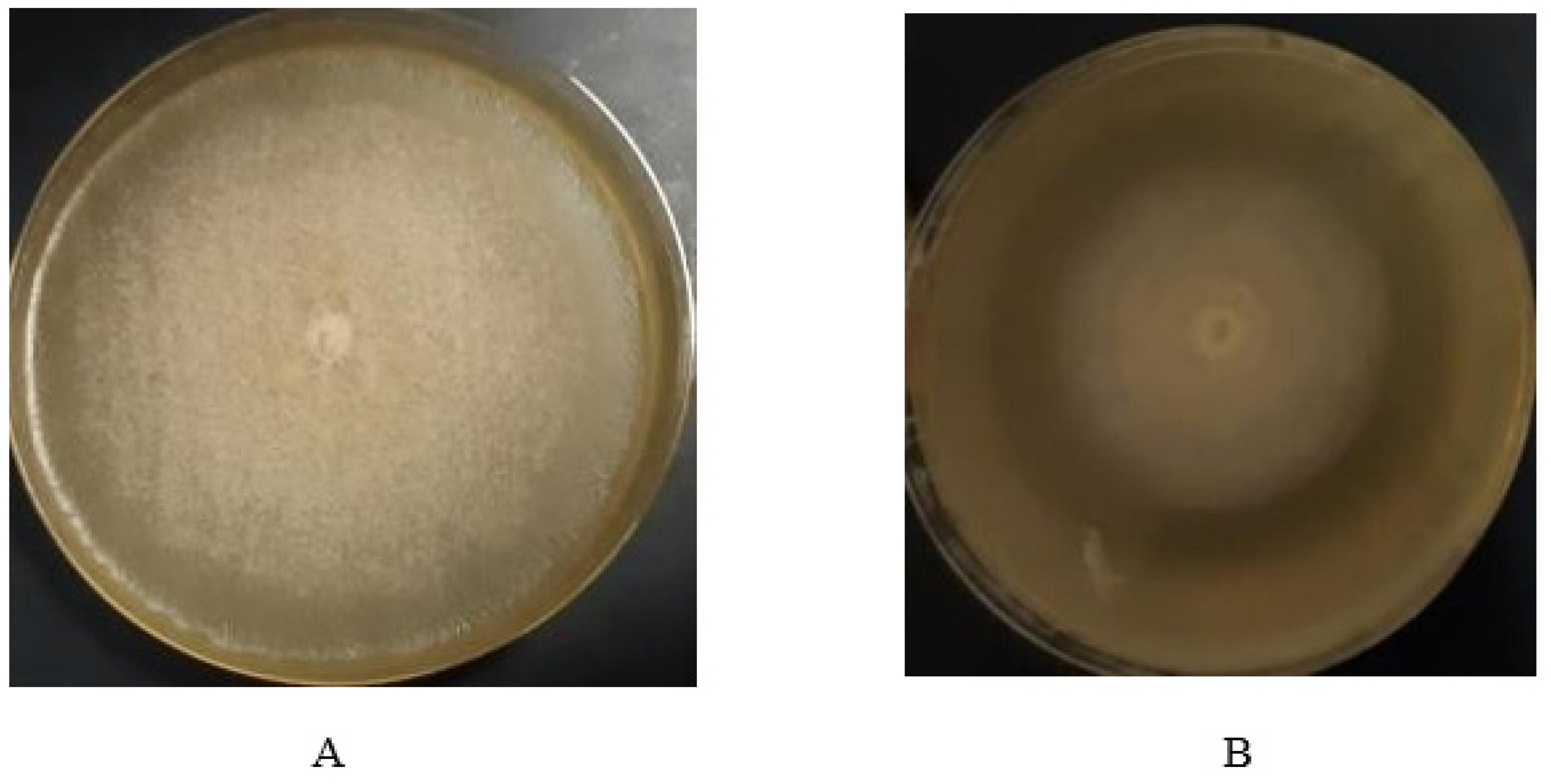 Molecules 27 02541 g001