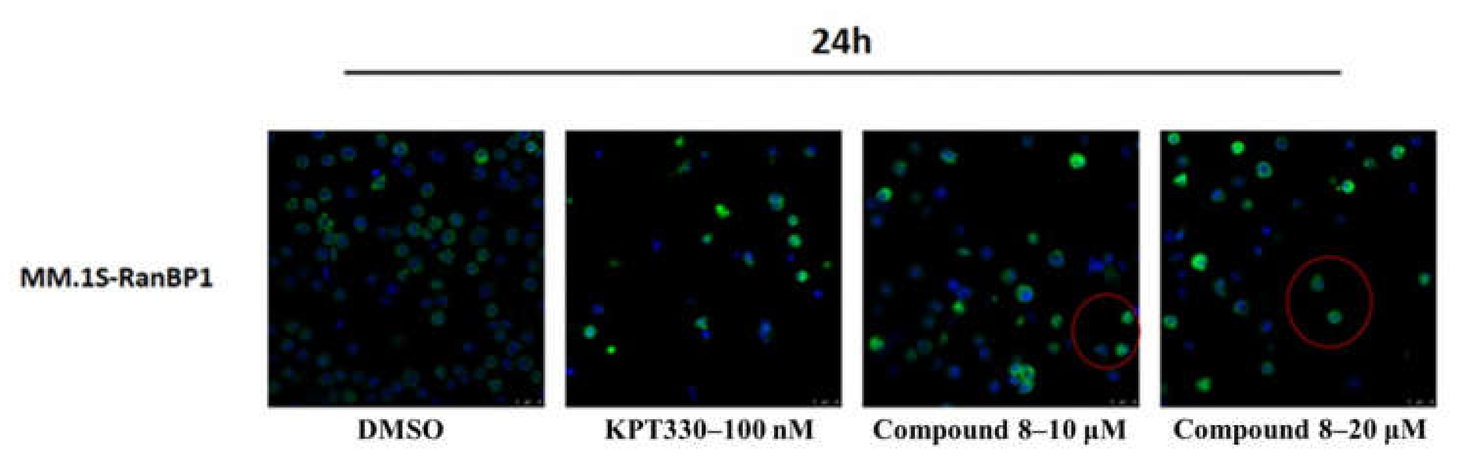 Molecules 27 02543 g005