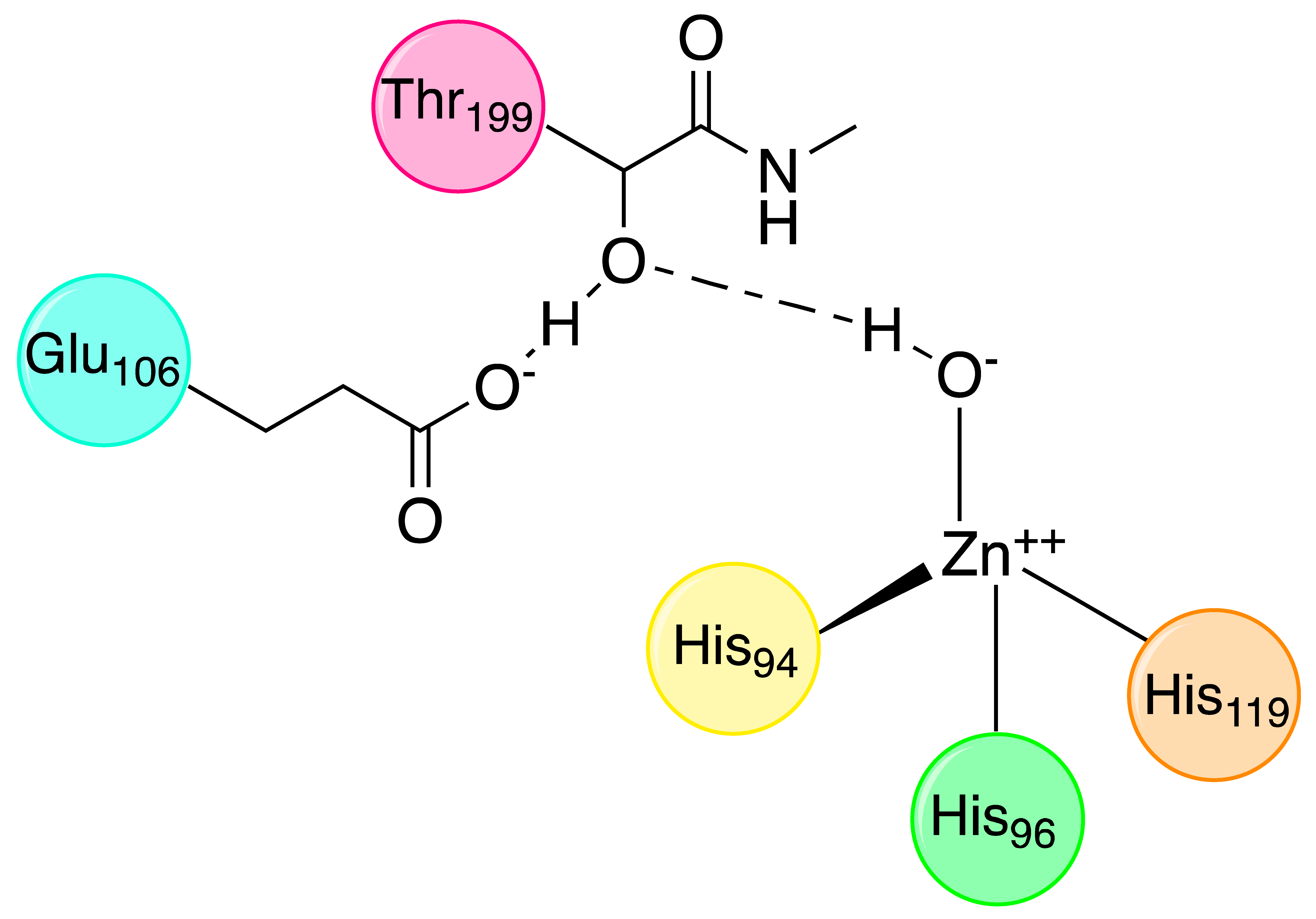 Molecules 27 02544 g002
