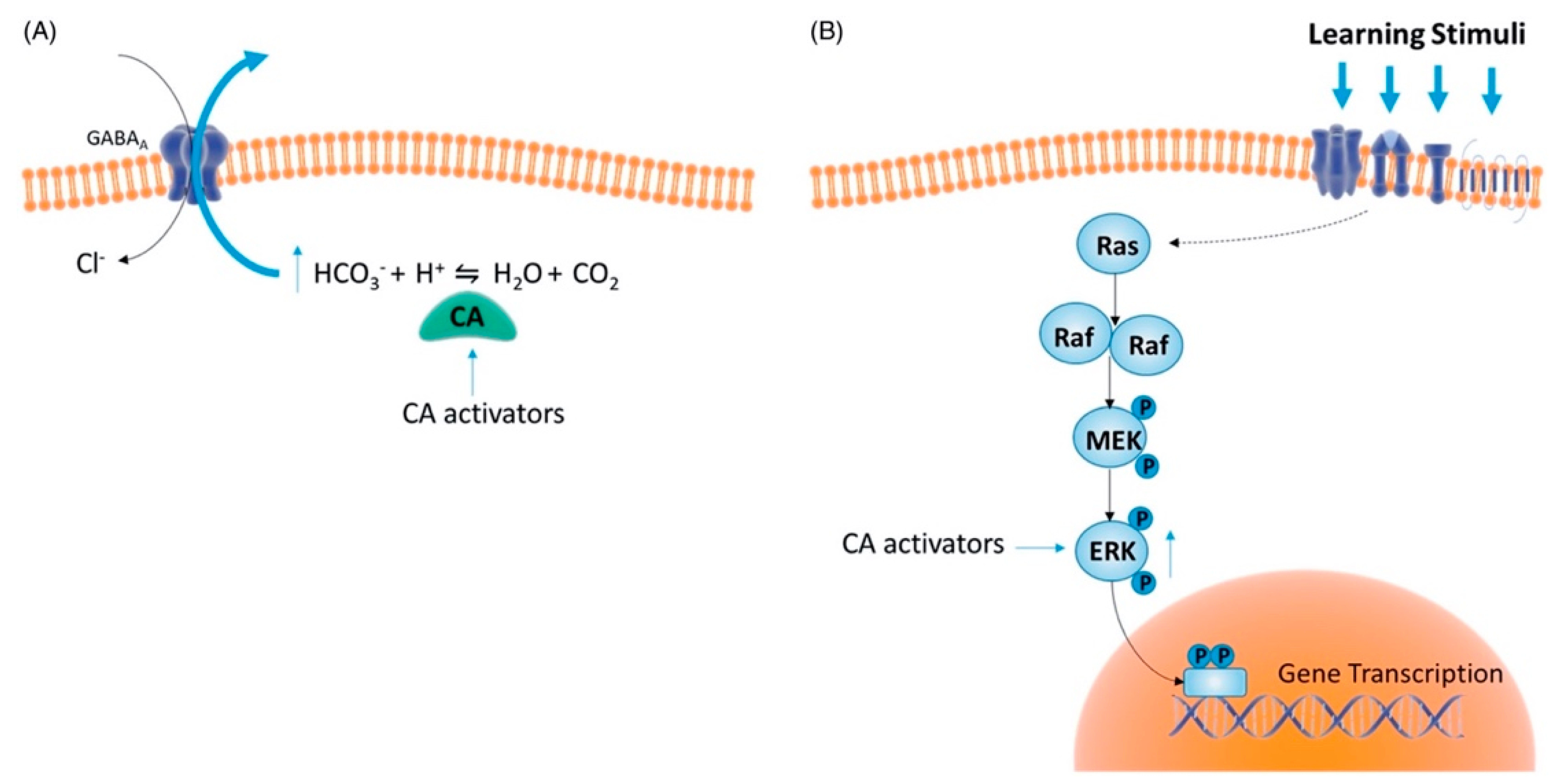 Molecules 27 02544 g004