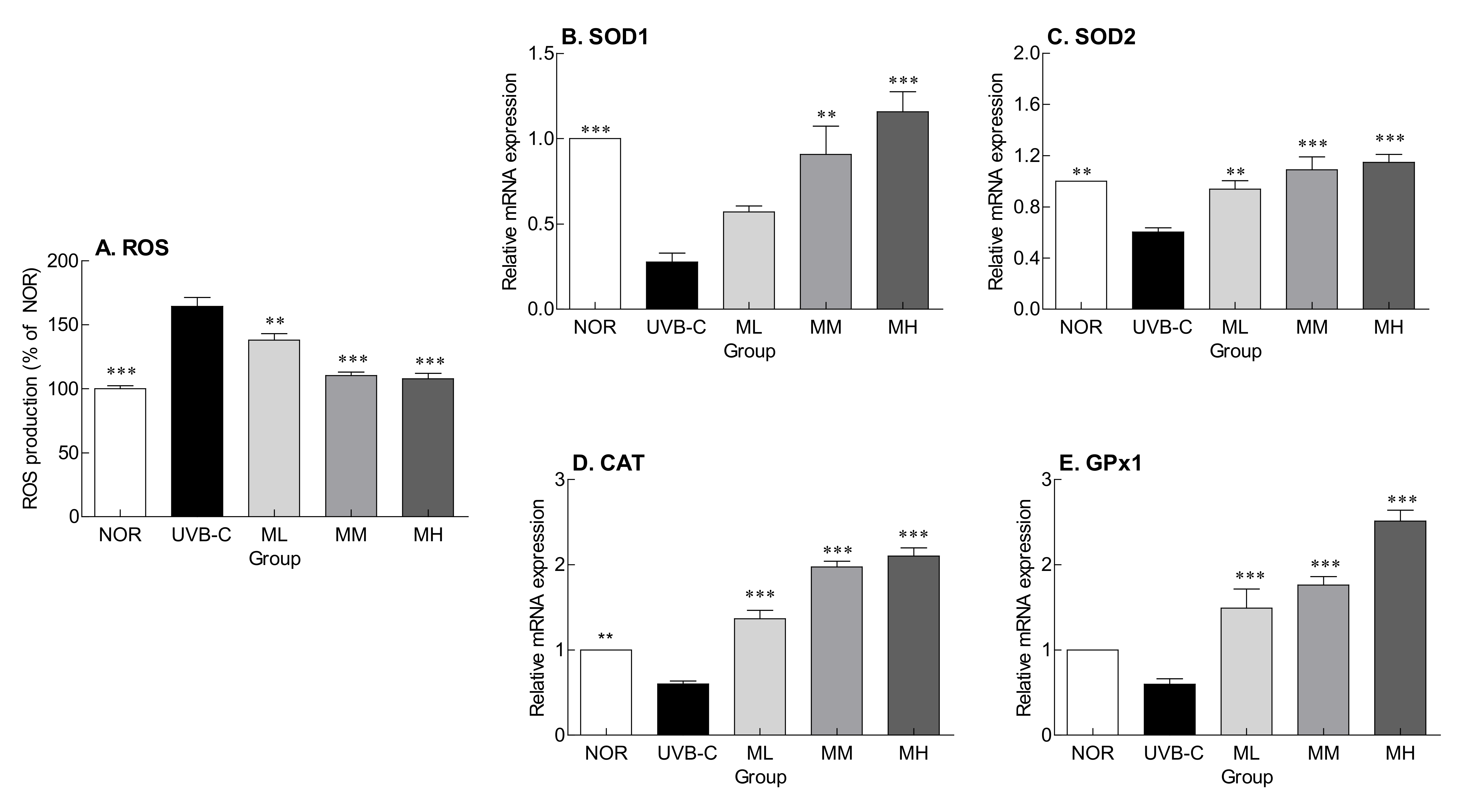 Molecules 27 02545 g004 550