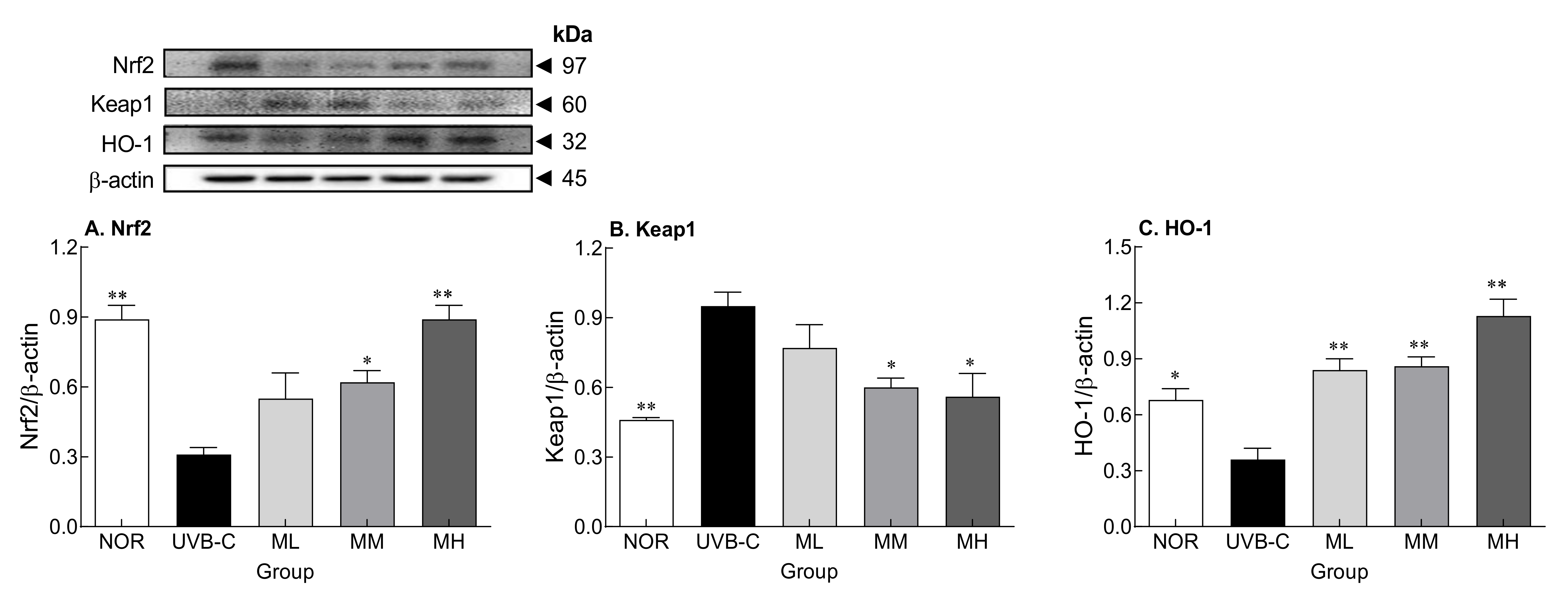 Molecules 27 02545 g005 550