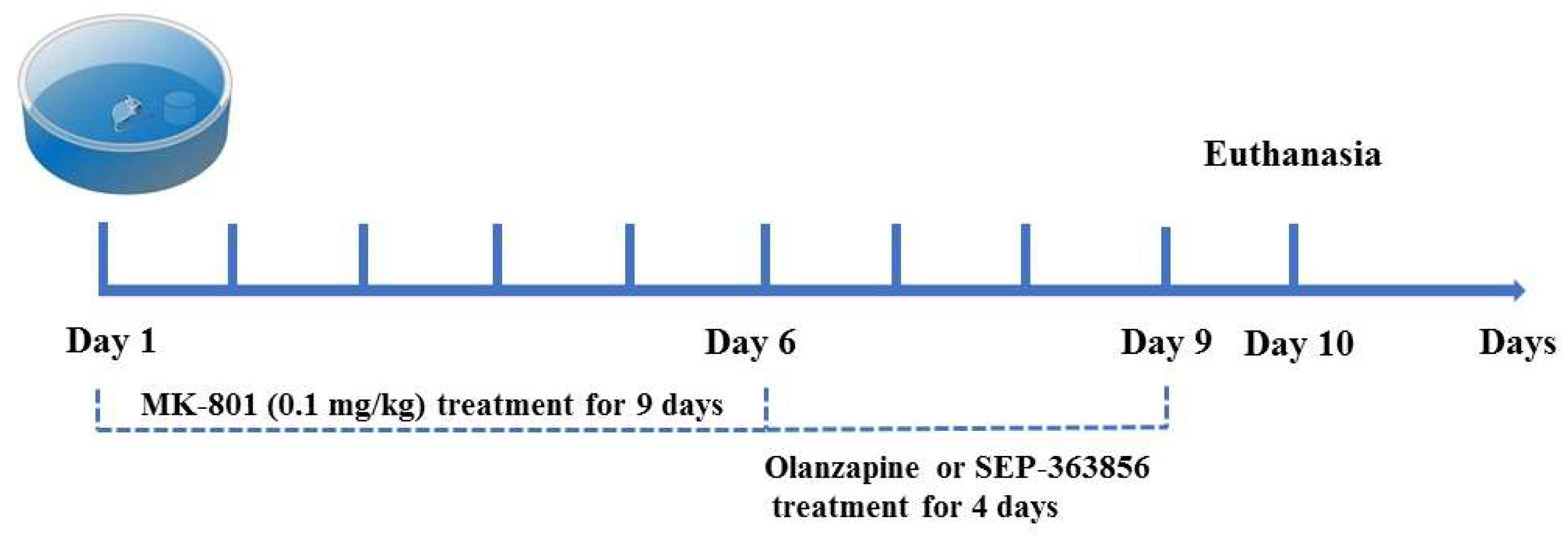 Molecules 27 02550 g005 Molecules 27 02550 g005