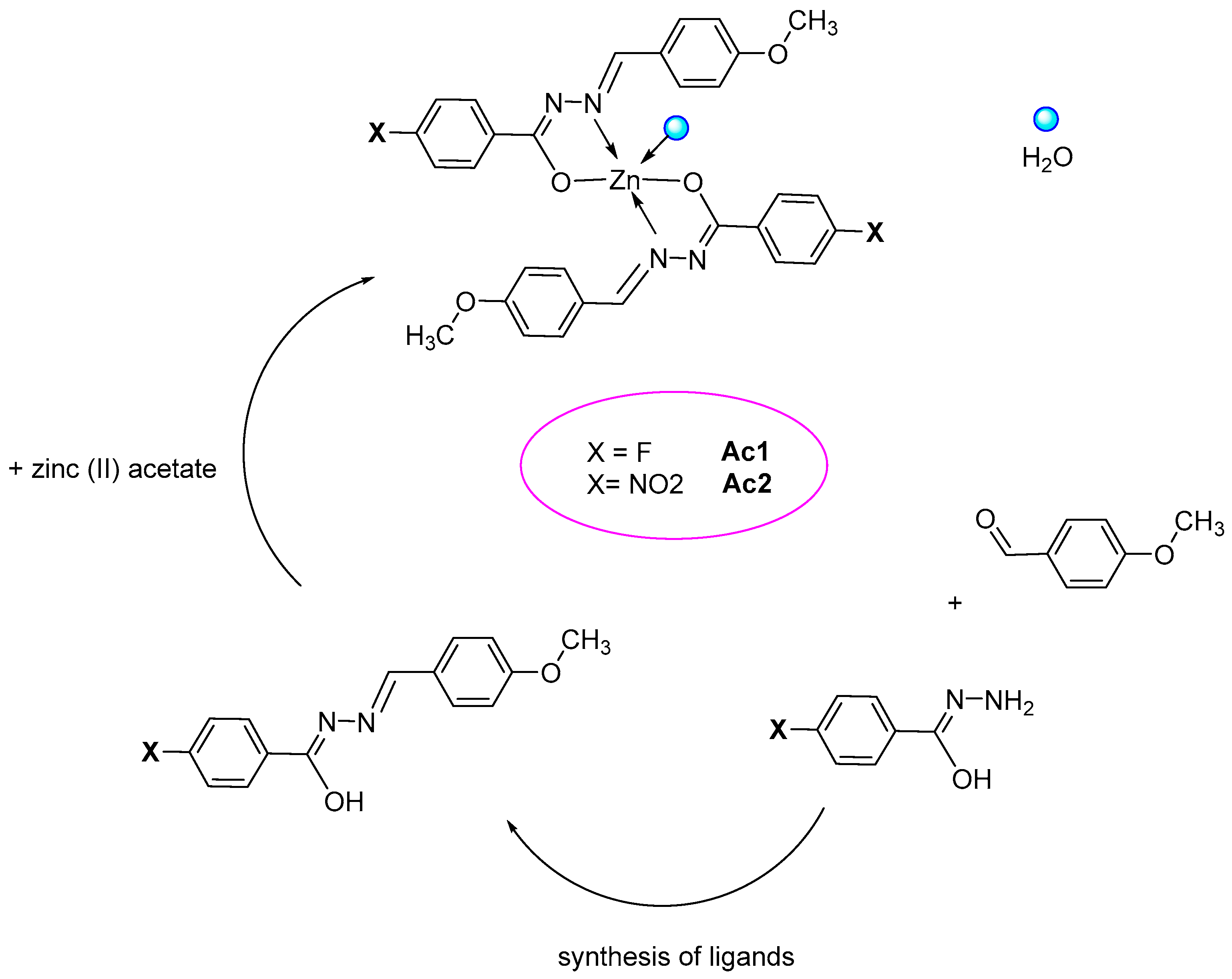 Molecules 27 02551 sch001 550