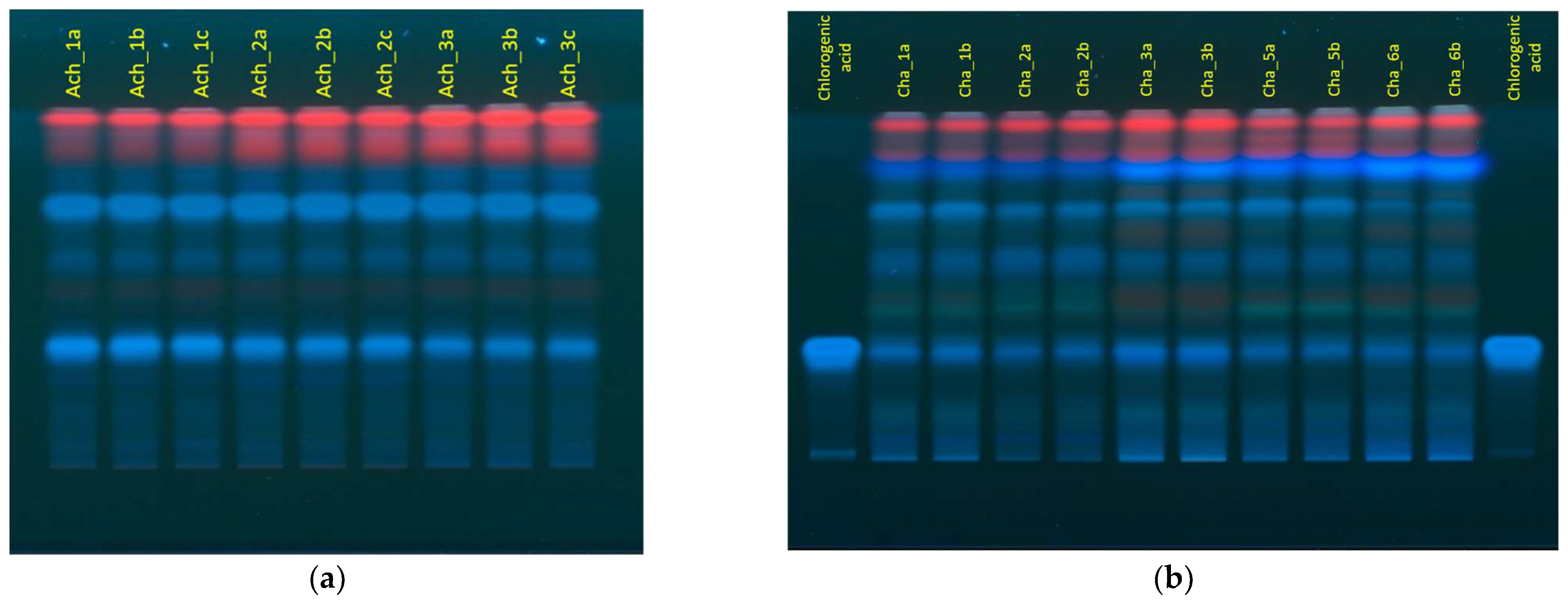 Molecules 27 02555 g001