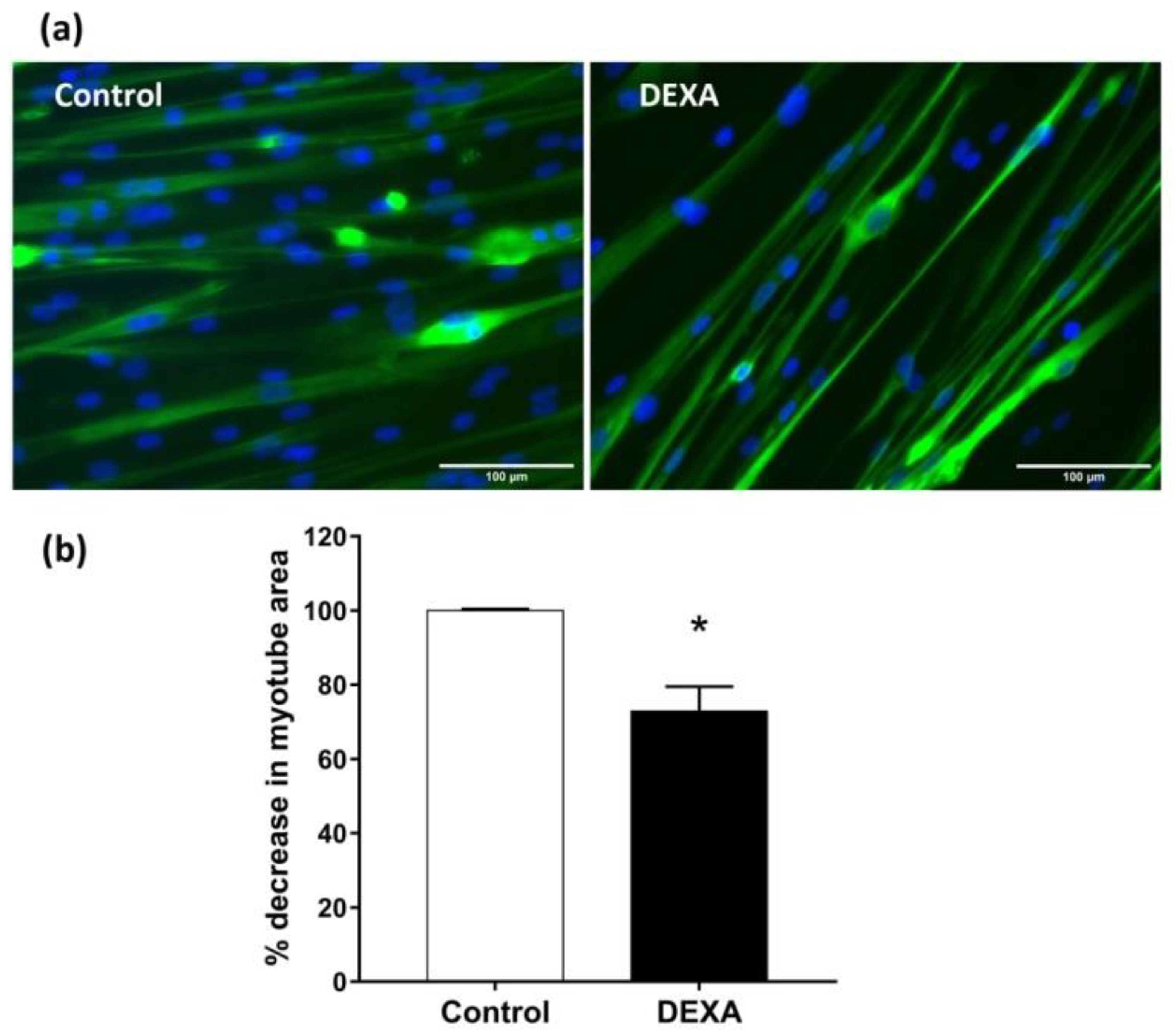 Molecules 27 02563 g005 Molecules 27 02563 g005