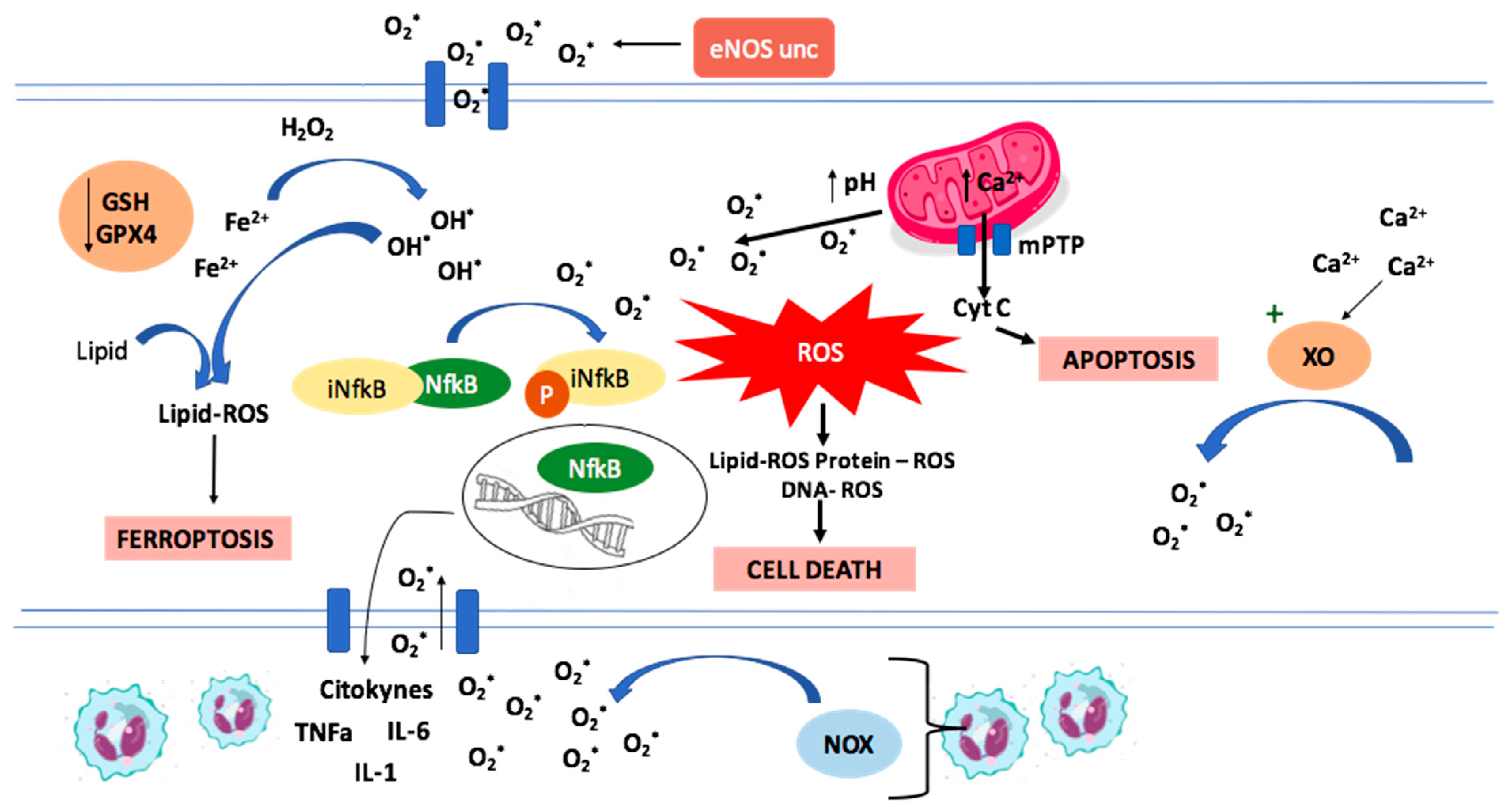 Molecules 27 02564 g001 Molecules 27 02564 g001
