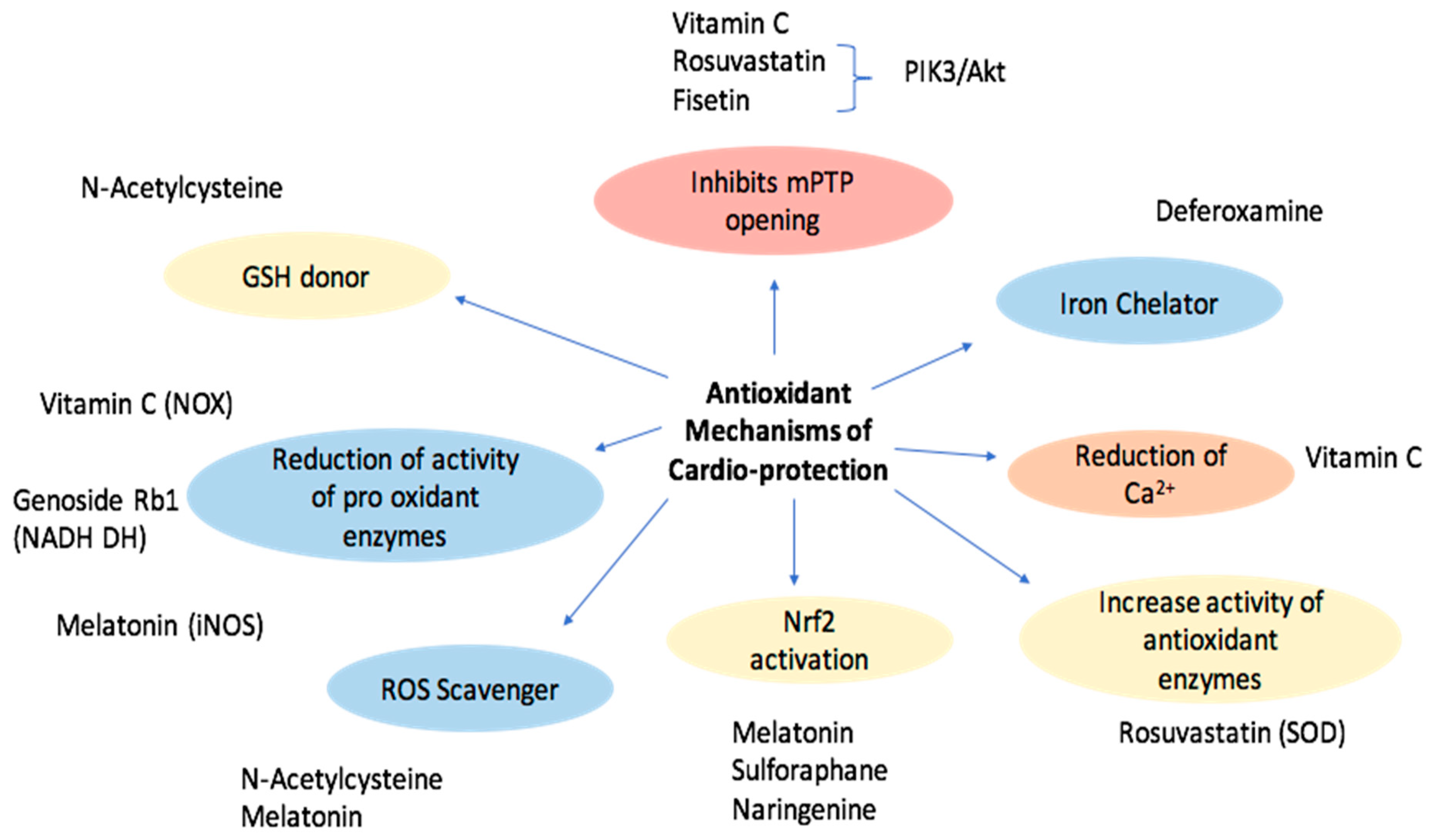 Molecules 27 02564 g002 Molecules 27 02564 g002