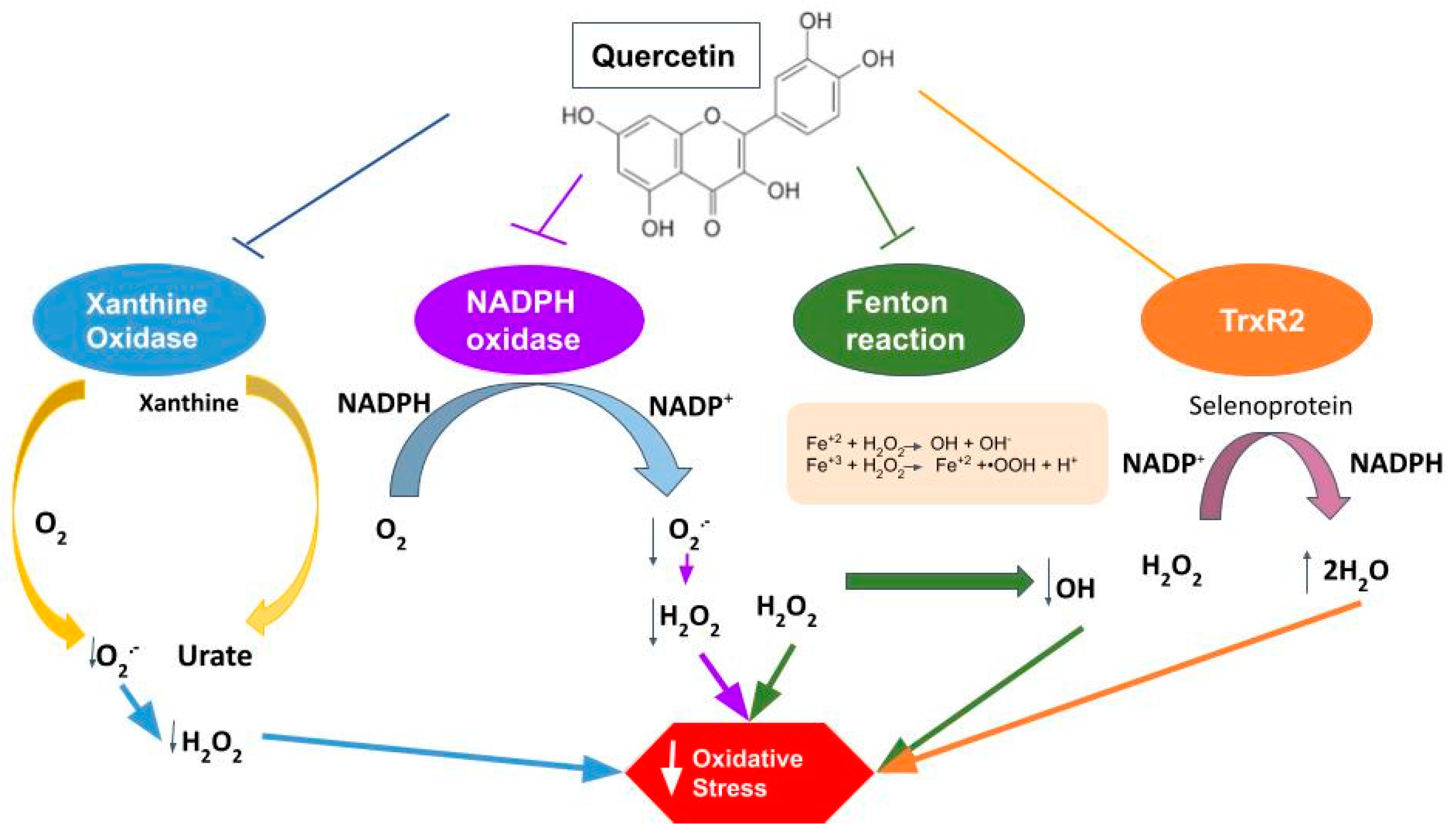 Molecules 27 02564 g006 Molecules 27 02564 g006