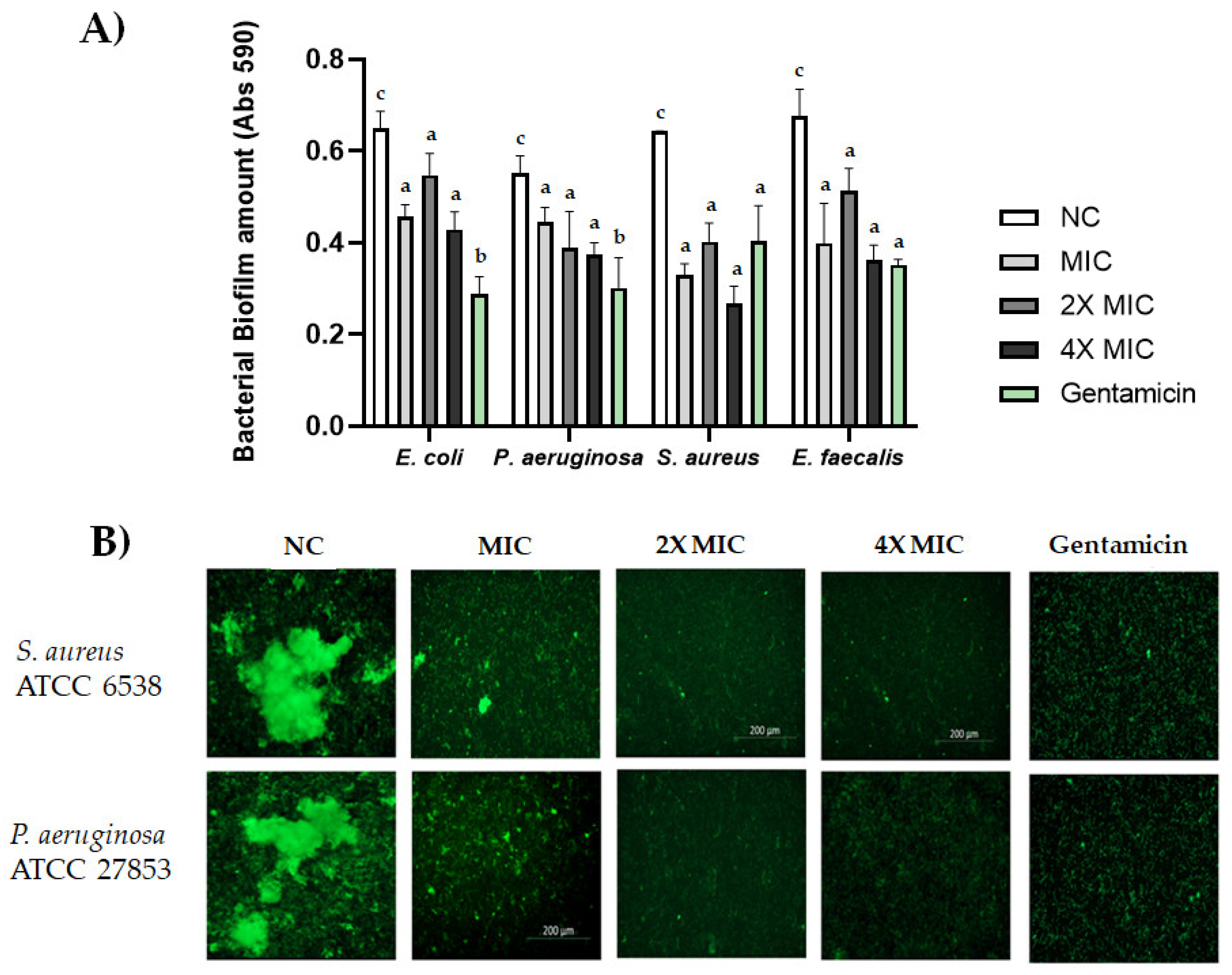 Molecules 27 02566 g005